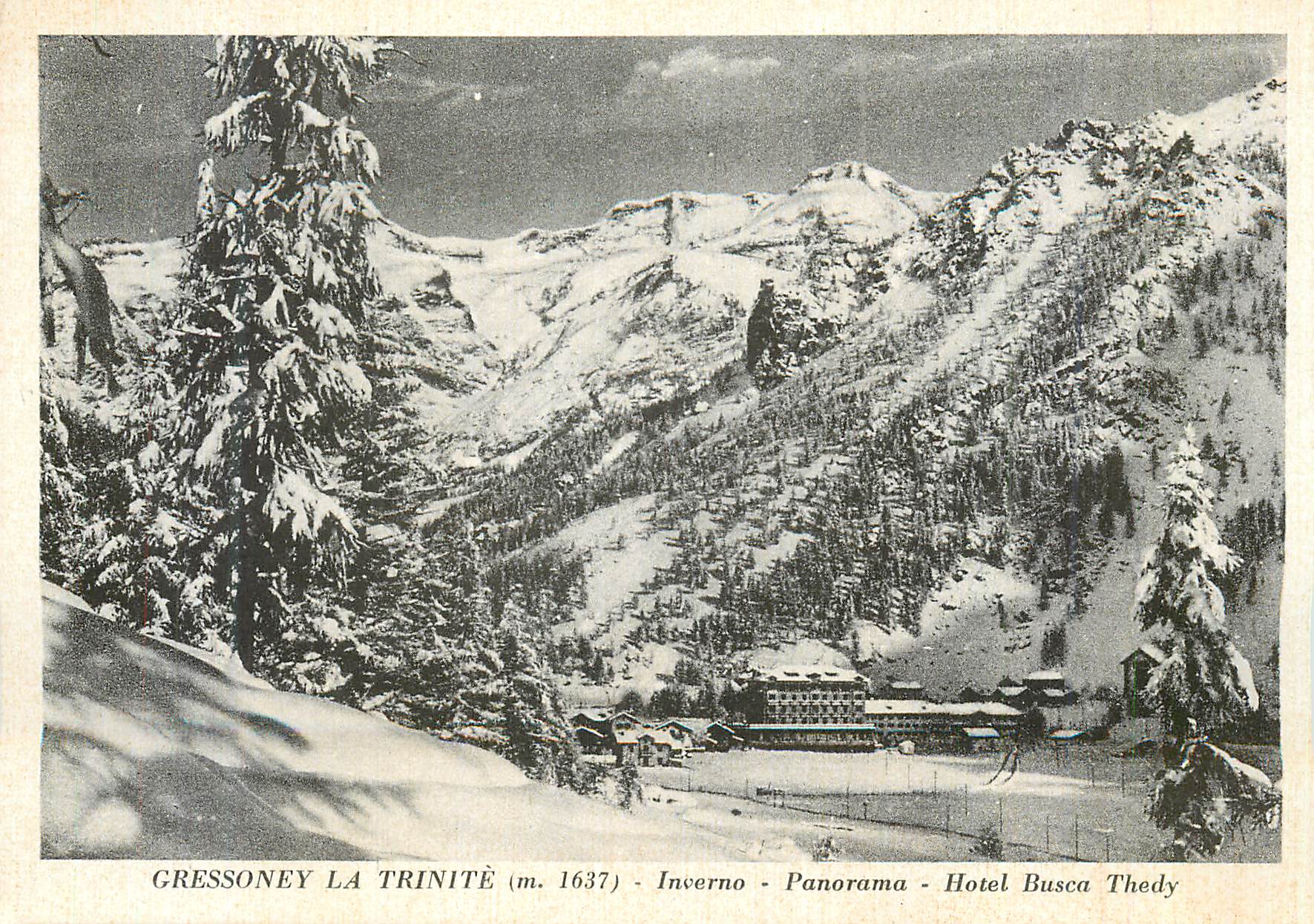 CPM Gressoney La Trinite (m 1637) Inverno Panorama Hotel Busca Thedy