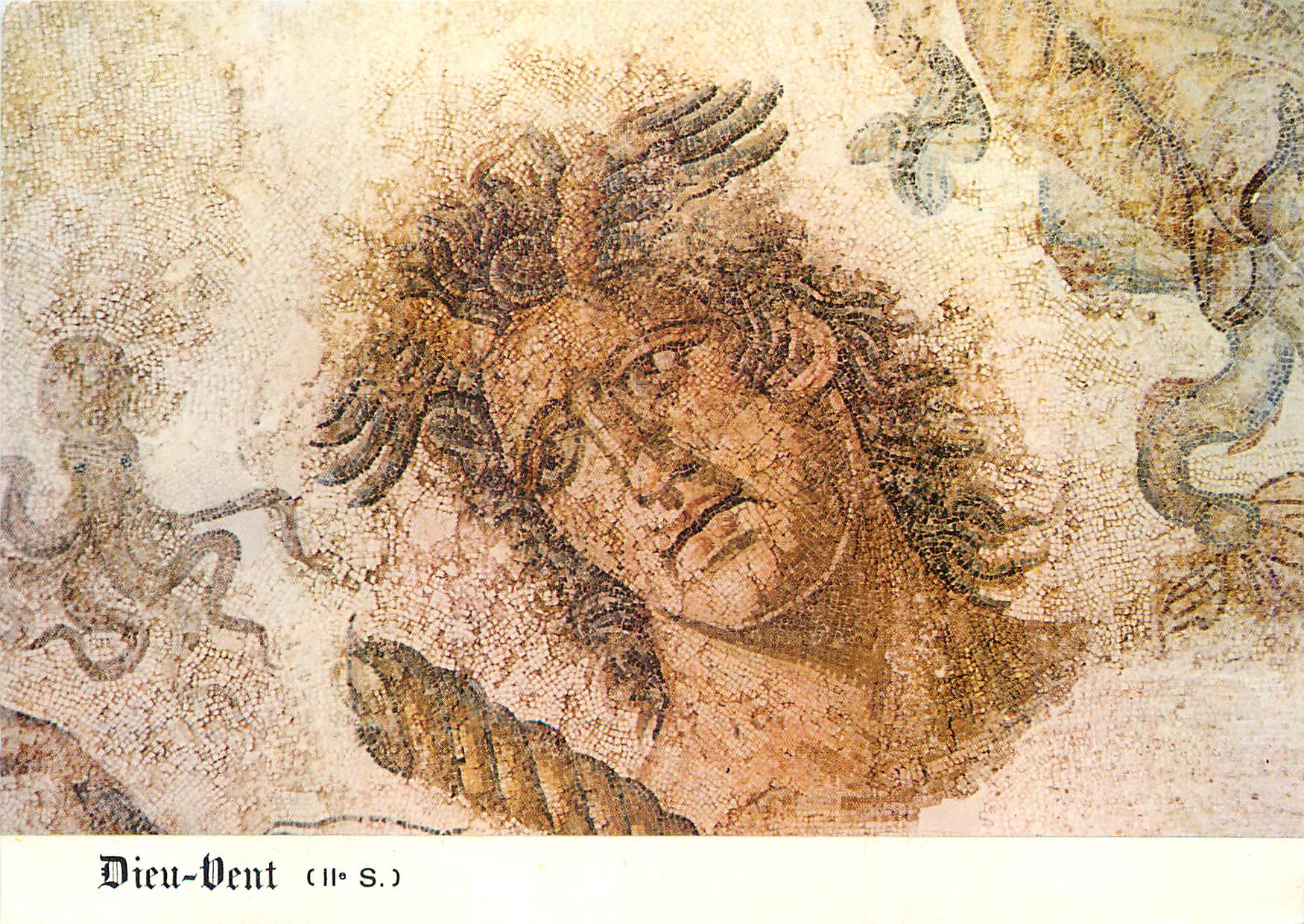 CPM Musee National du Bardo Detail d'une Mosaique Dieu Vent fin de IIe Siecle (Maxula Rades)