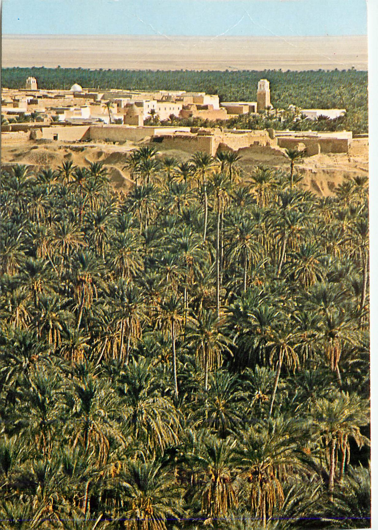 CPM Nefta La Corbeille