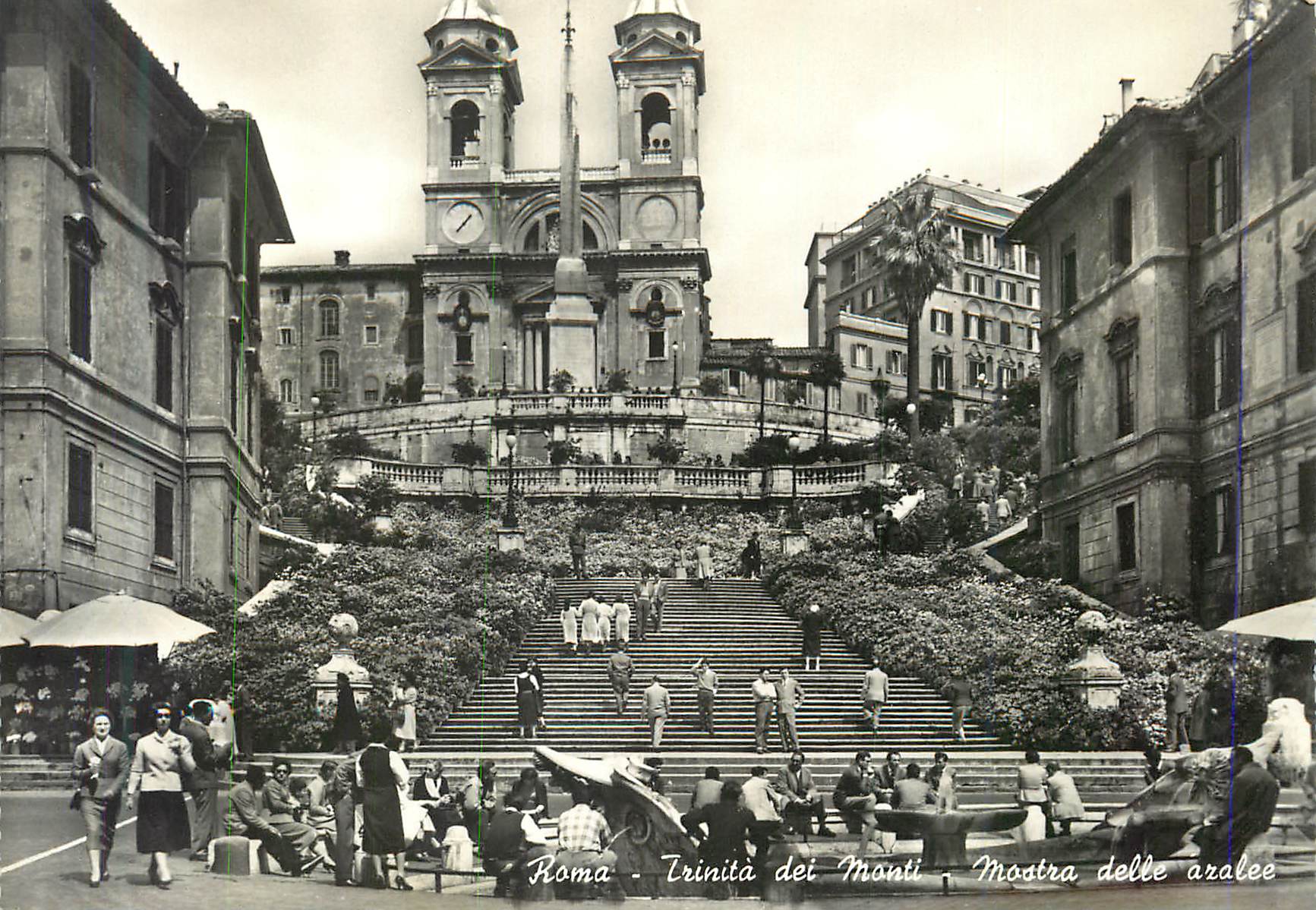 CPM Rome Trinite des Monts Exposition des azalees