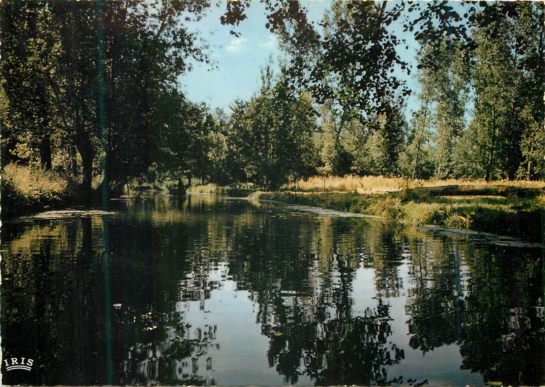 CPM Marais Poitevin Venise Verte Le Biffour Route d'eau entre Coulon et la Garette