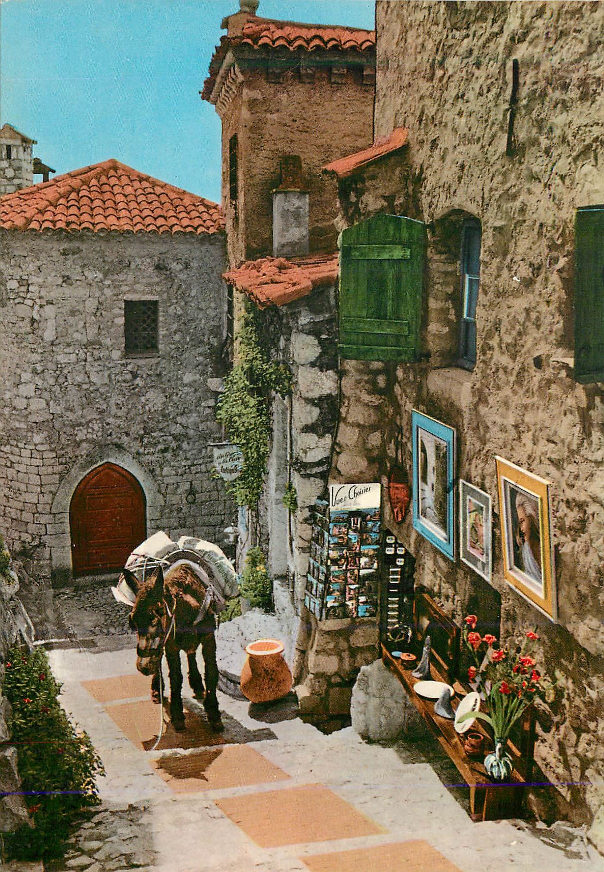 CPM Provence Cote d'Azur Vieille Rue et Scene Pittoresque du Folklore Mediterraneen Ane Donkey