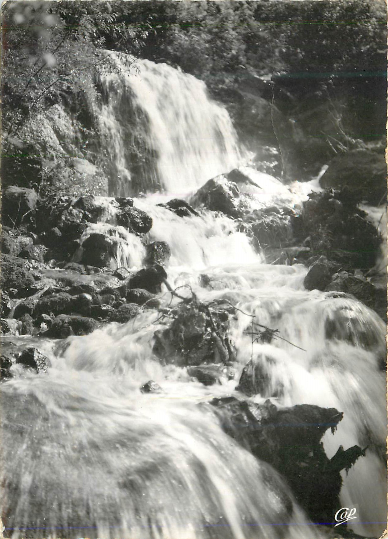 Chute d'eau — Forêt — CAP