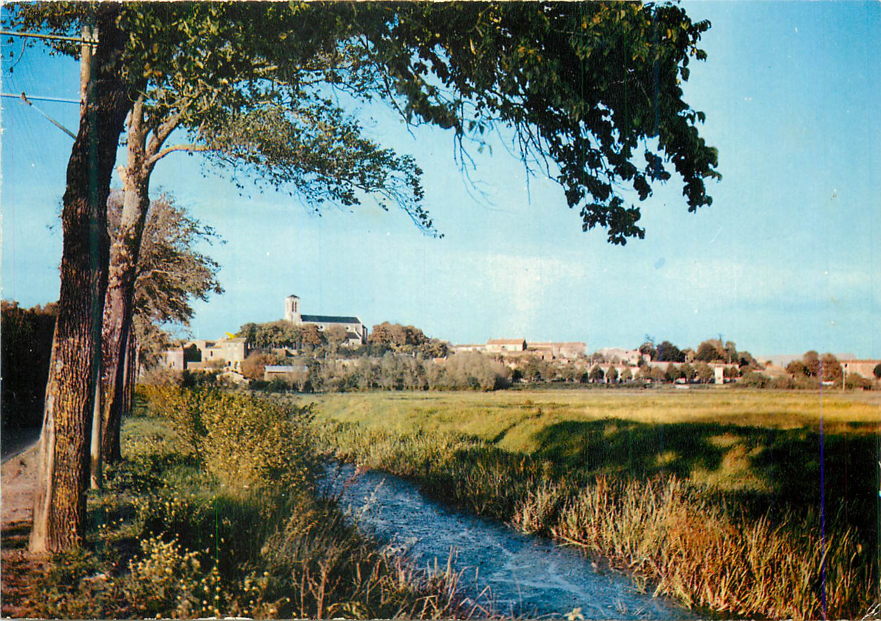 CPM Chaille les Marais (Vendee) Paysages Typique