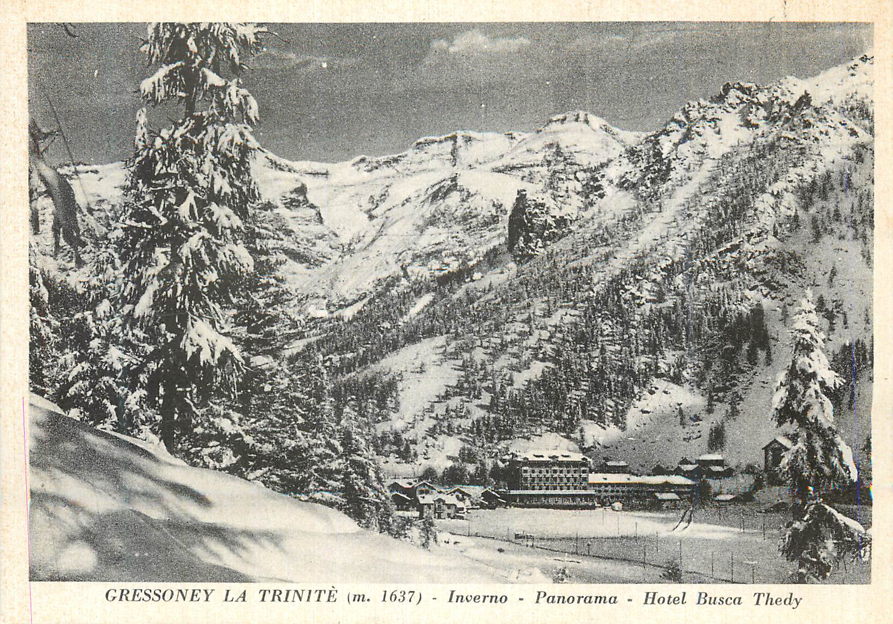 CPM Gressoney la Trinite (M 1637) (Aosta) Inverno Panorama Hotel Busca Thedy