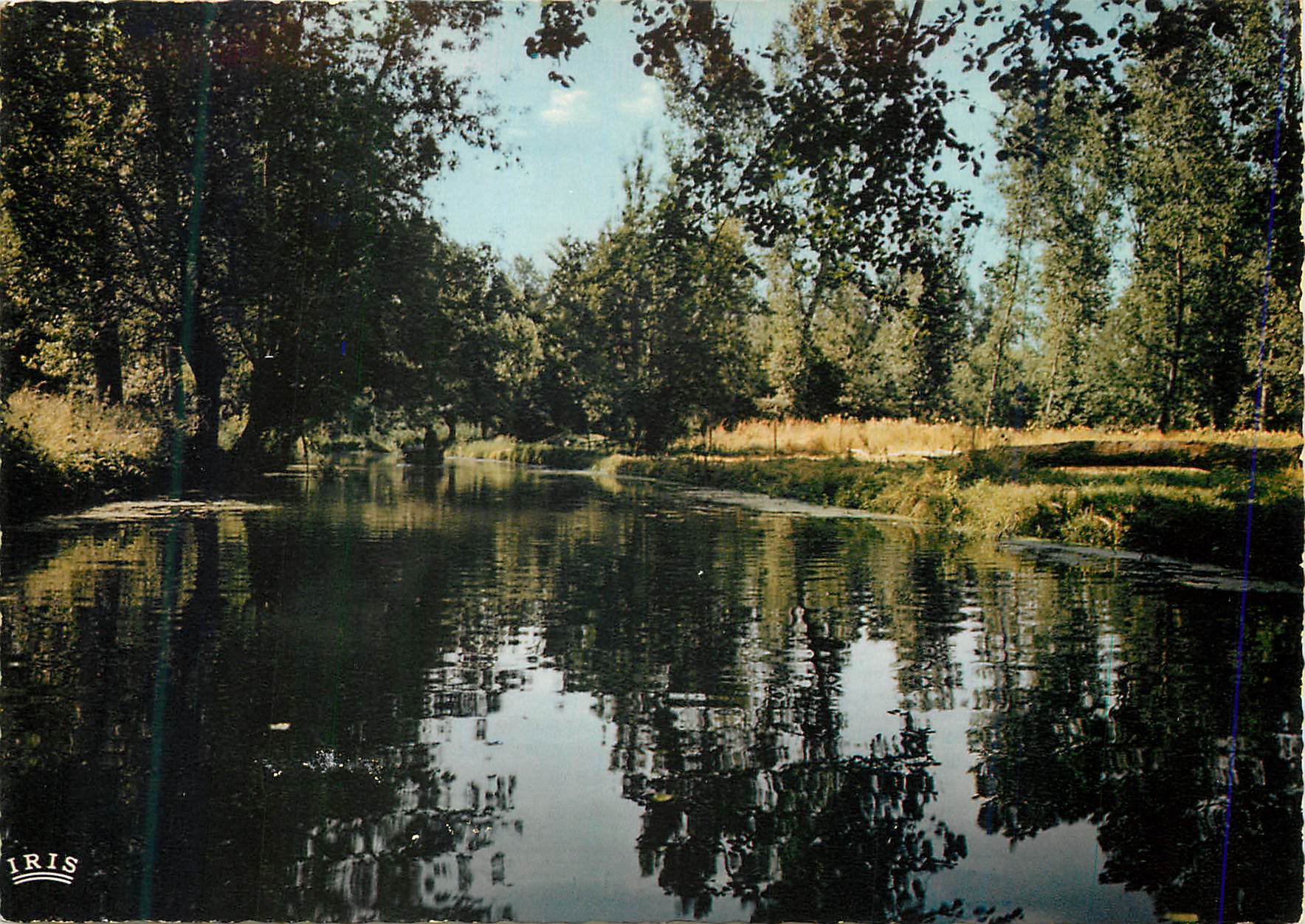 CPM Marais Poitevin Venise Verte Le Biffour Route d'eau entre Coulon et la Garette