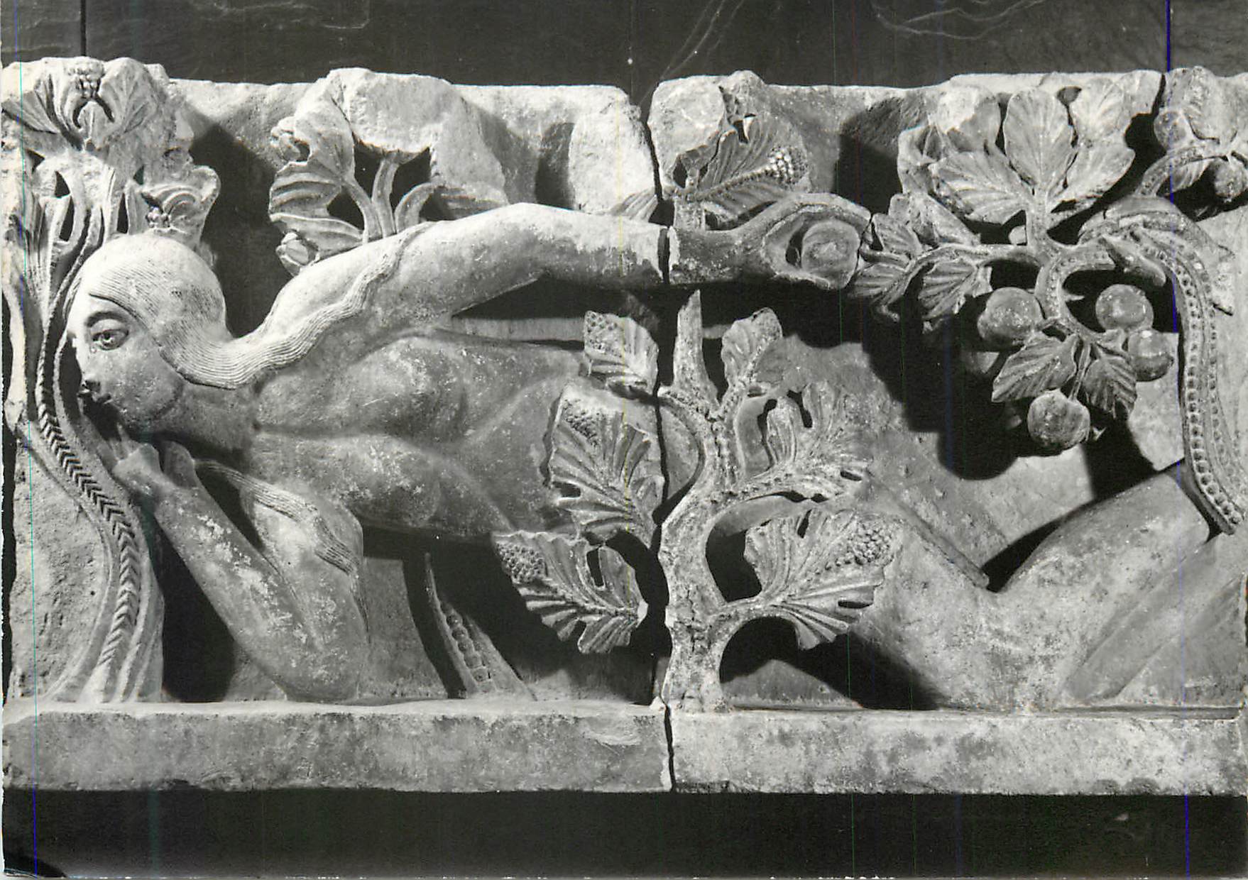 CPM Autun Musee RoliDOUZ\DOUZ003.jpg