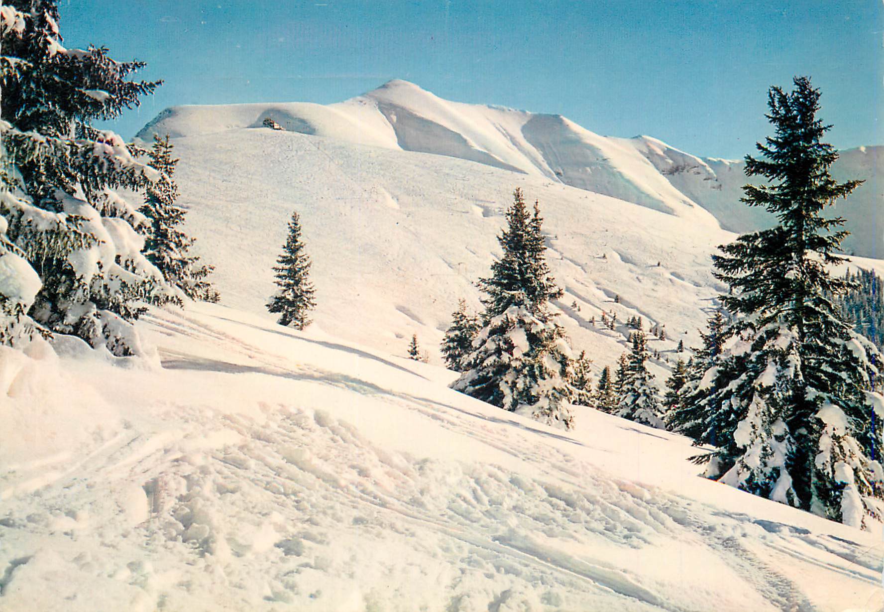 CPM Les Pistes de Mont Joux (1957 m) et le Mont Joly (2525 m)
