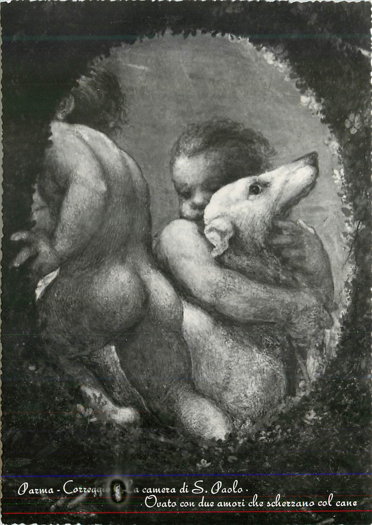 CPM Parma Carreggio La Chambre de St Paul Ovale avec deux Amours qui Jouent avec le Chien