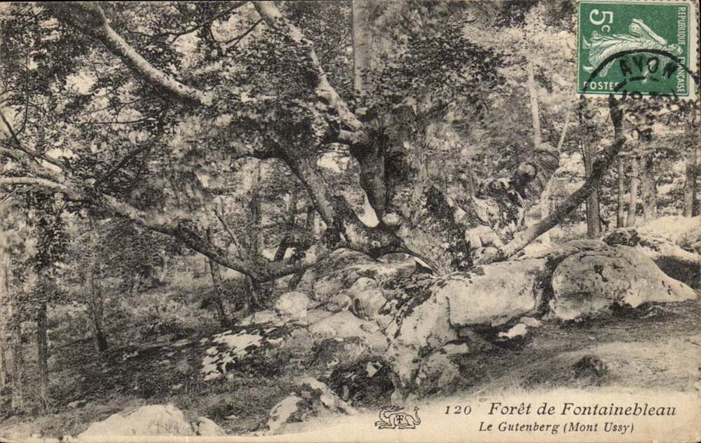 Forêt de Fontainebleau — Le Gutenberg (Mont Ussy) — Verlag T.F. Nr. 120