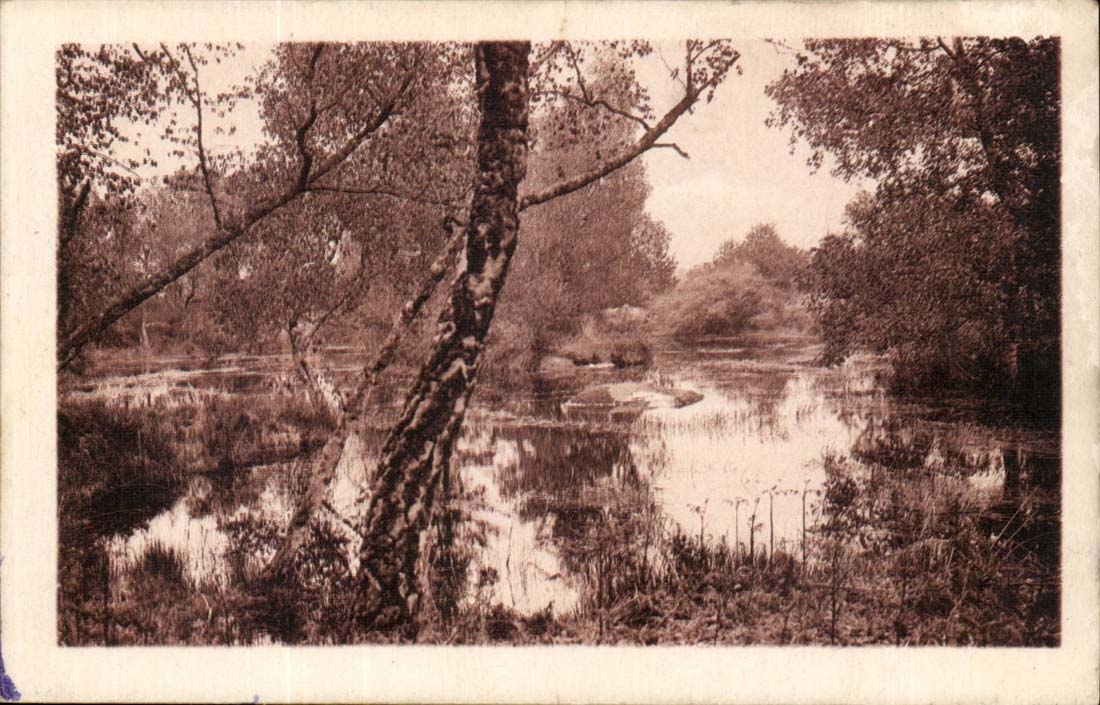 Bossen van Fontainebleau — La Mare de Franchard — Uitgave Vincent