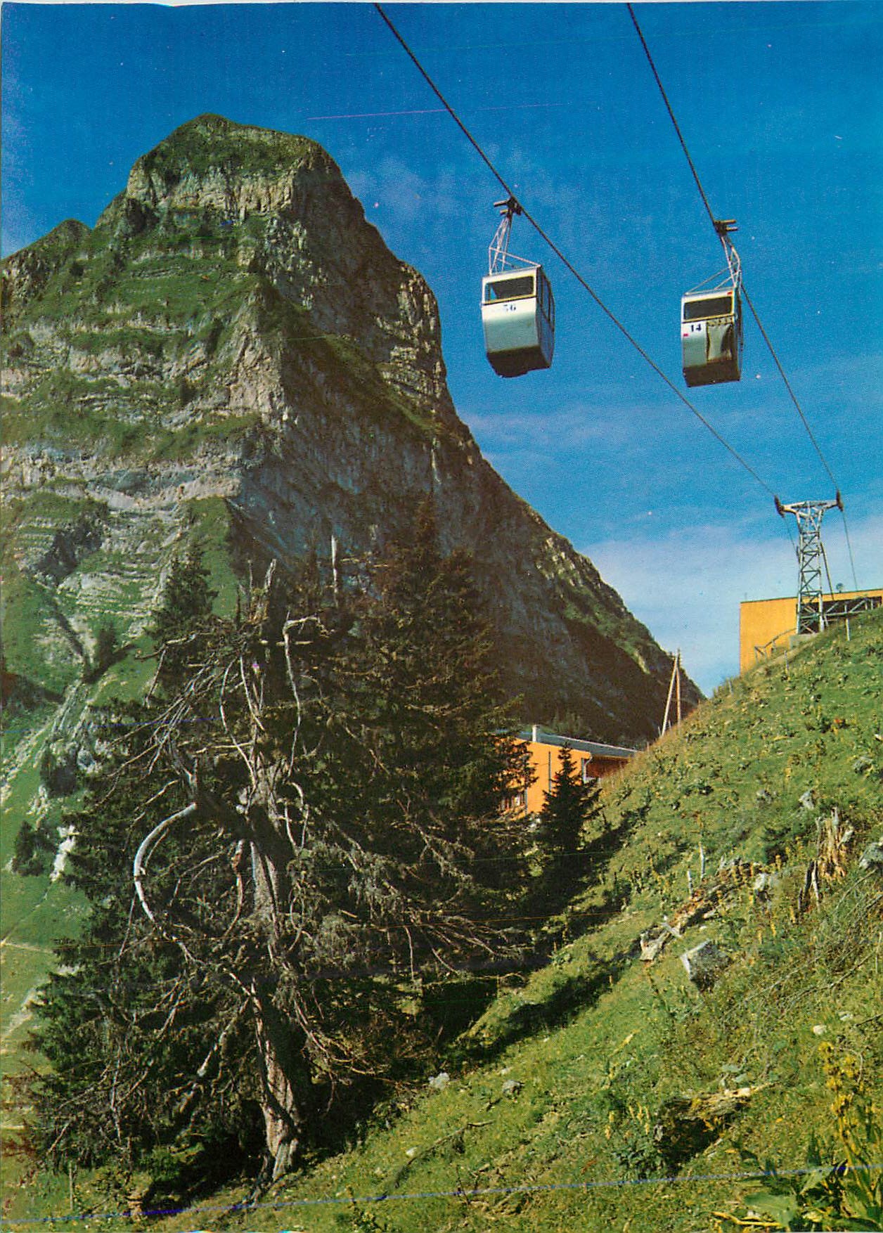 CPM Telecabine Le Chaux Plan Francey e le Moleson