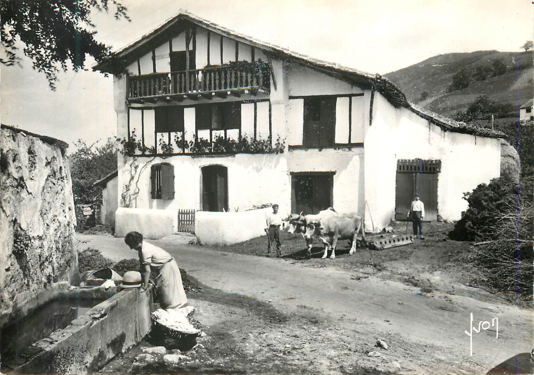 Village pittoresque — maison à colombages avec vaches — JASON