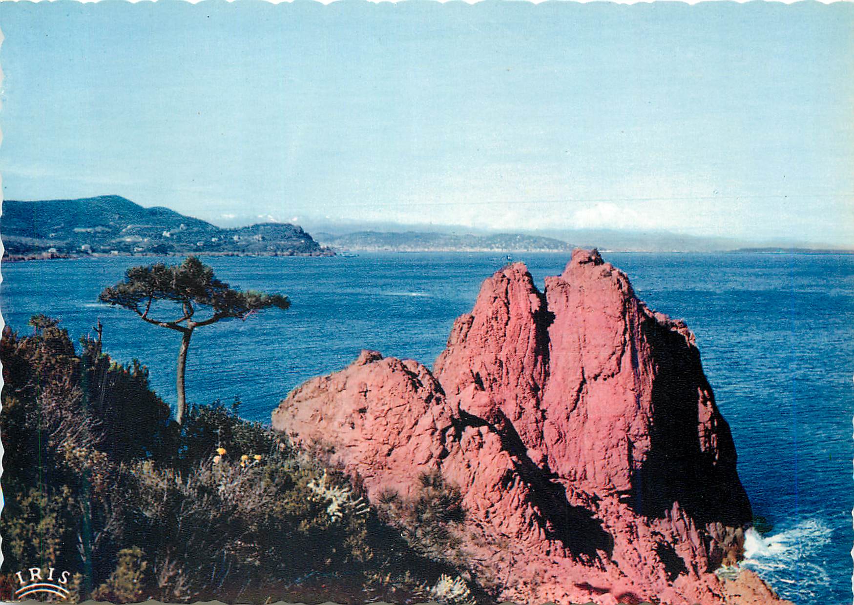 CPM Un Coin de la Corniche d'Or Reflets de la Cote d'Azur Au Loin la Cote Connoise et les Alpes