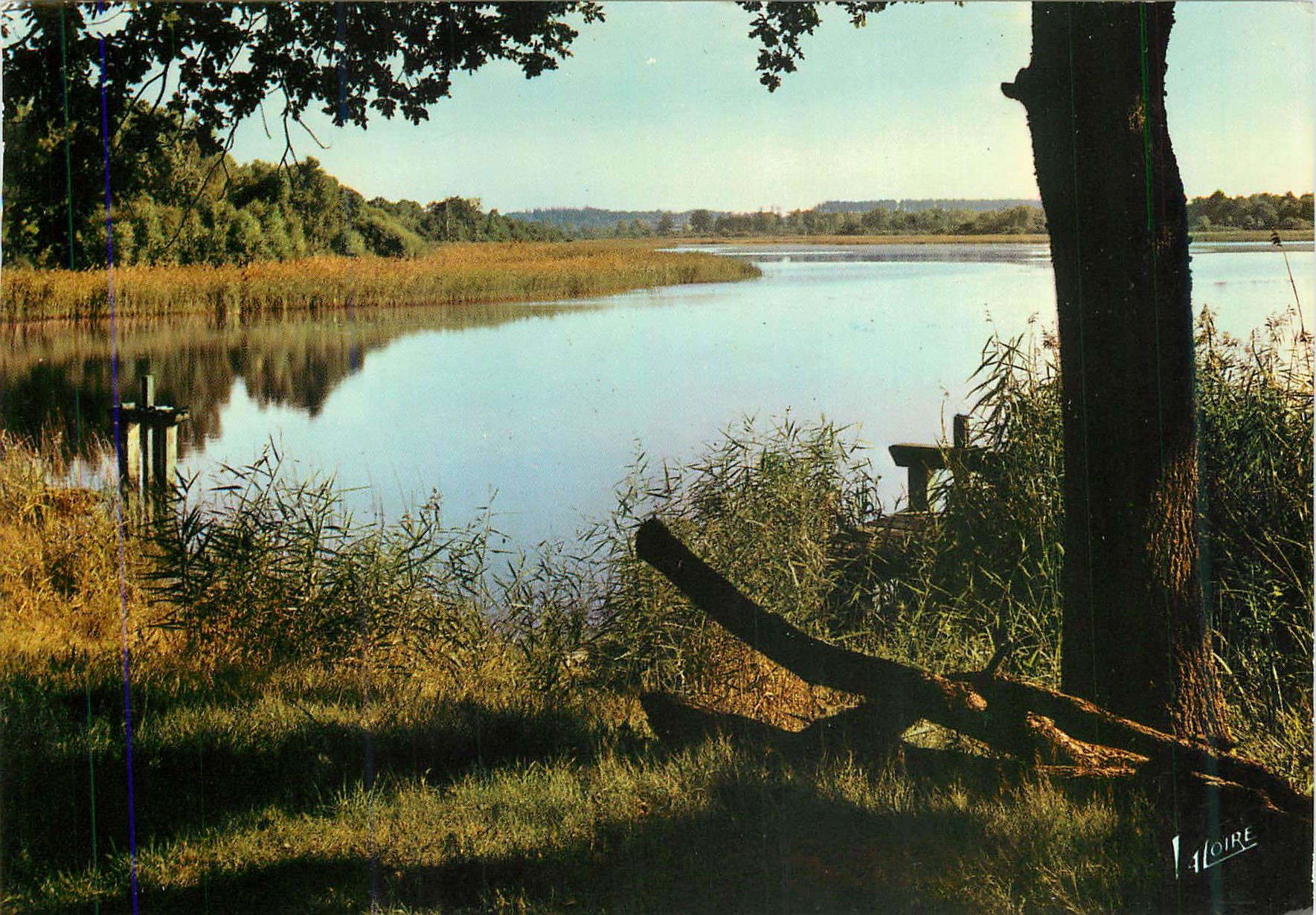 Lac de la Loire — vue pittoresque — éditeur V. LOIRE, n° de série non visible