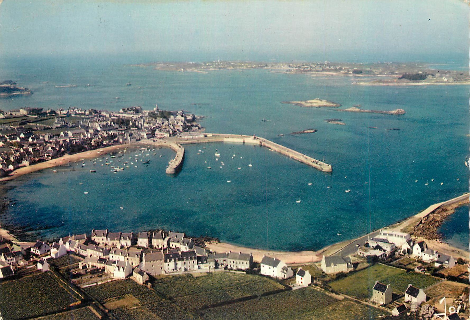 CPM Roscoff (Nord Finistere) La Bretagne en Couleurs Ensemble du Port