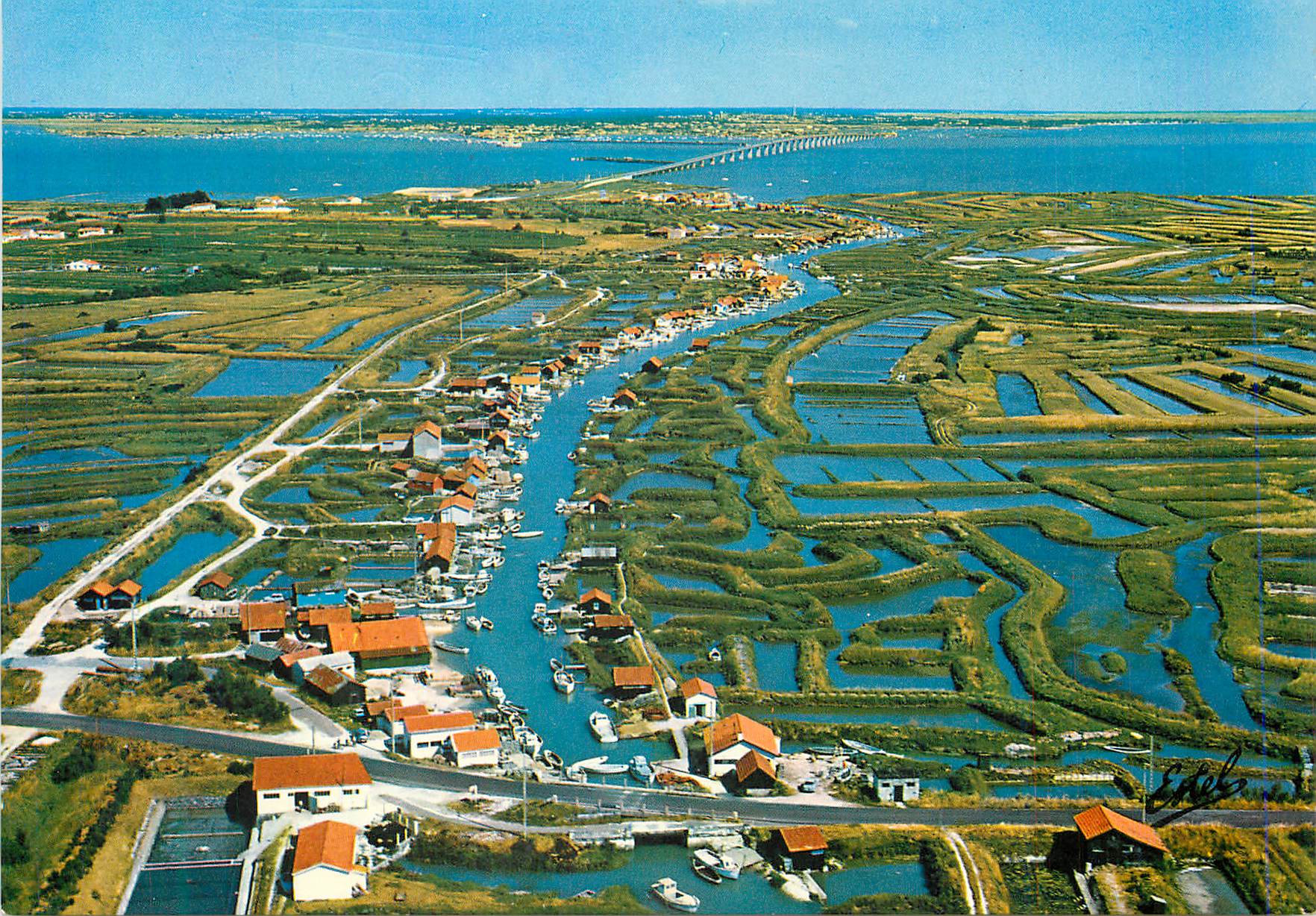 CPM Ile d'Oleron (Charente Maritime) La Cote Atlantique Le port Ostreicole d'Ors etses Claires