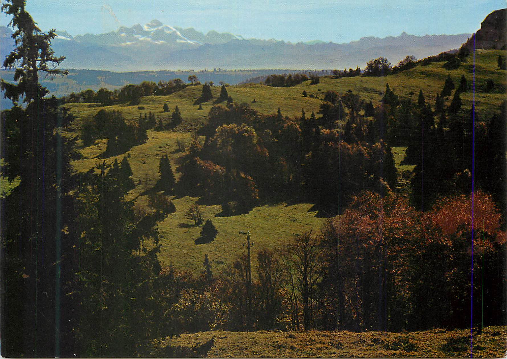 CPM Les Beaux Sites de France (Franche Comte) Le Mont d'Or (Alt 1463 m) et au fond Le Mont Blanc (4807 m)
