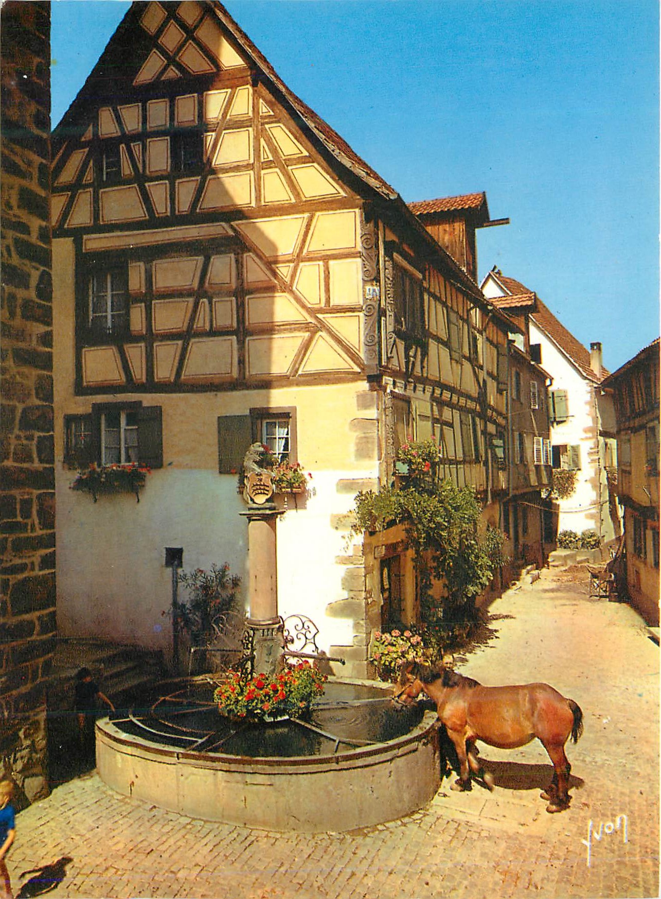 CPM Riquewihr (Haut Rhin) L'Alsace Couleurs et Lumiere de France Fontaine et Maisons Alsaciennes Cheval