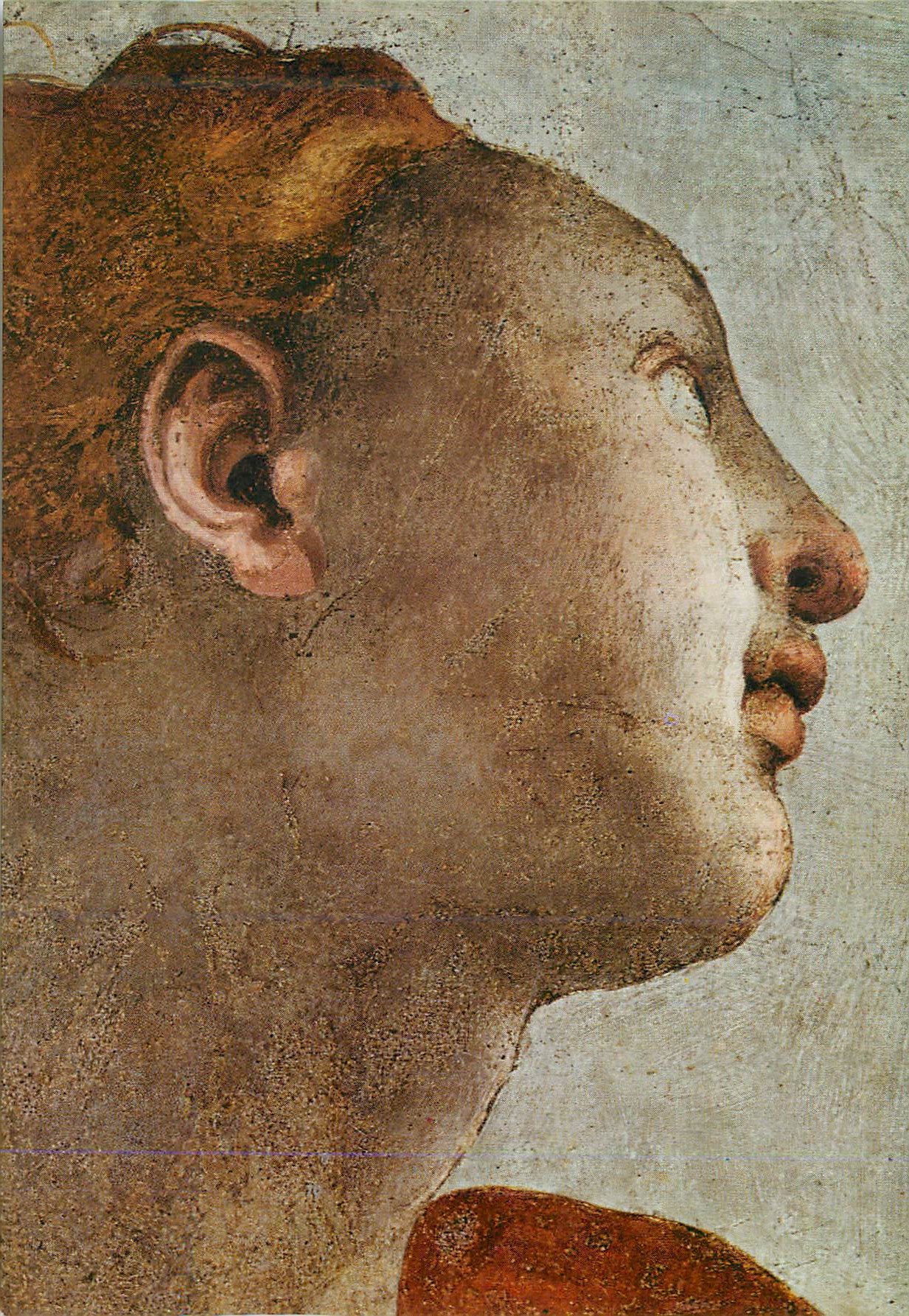 CPM The Metropolitan Museum of Art Pontormo Head of the Angel of the Annunciation from the Exhibition The Great Age of F