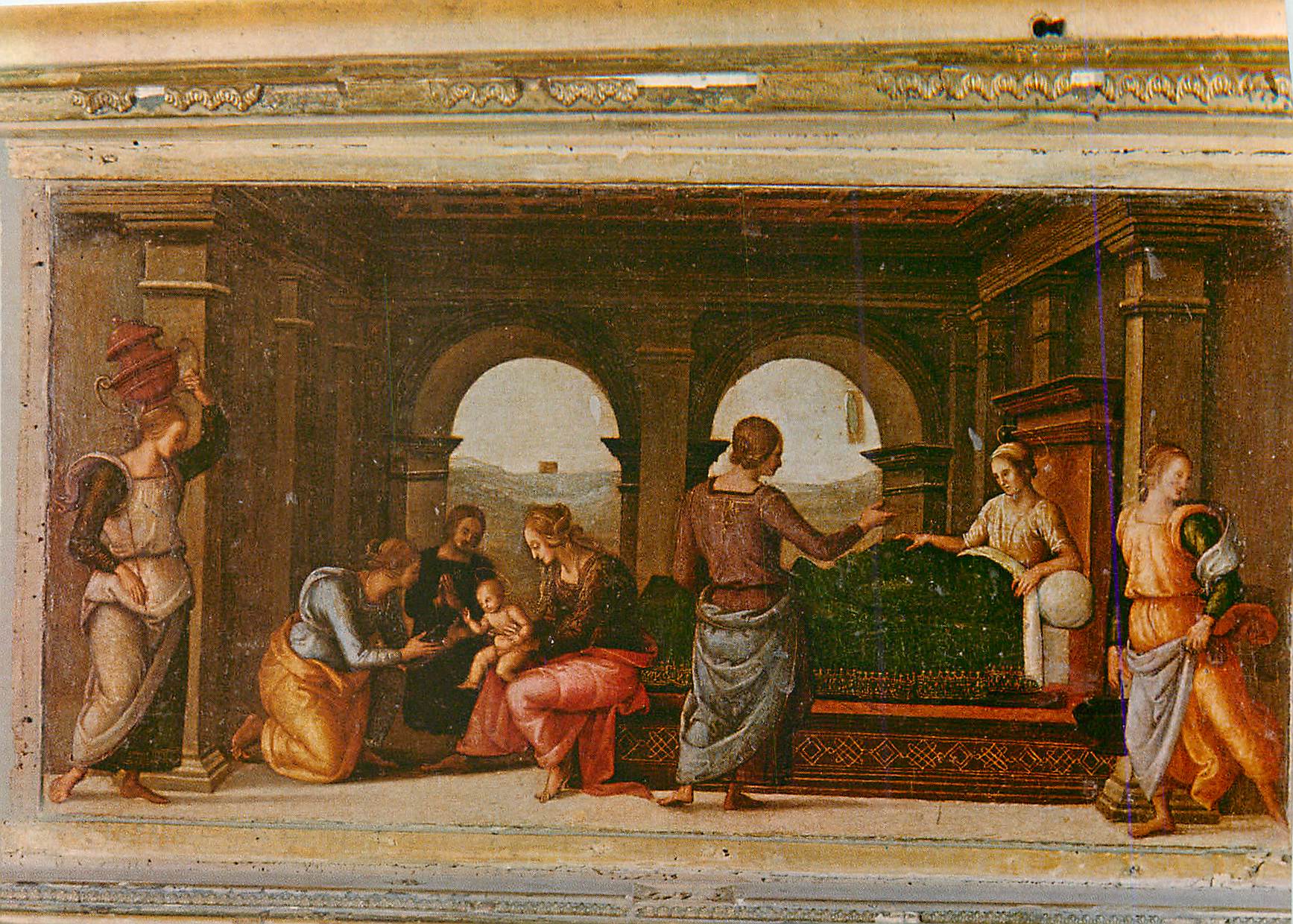CPM Urbino Raffaello Sonzio Nativite de la Vierge