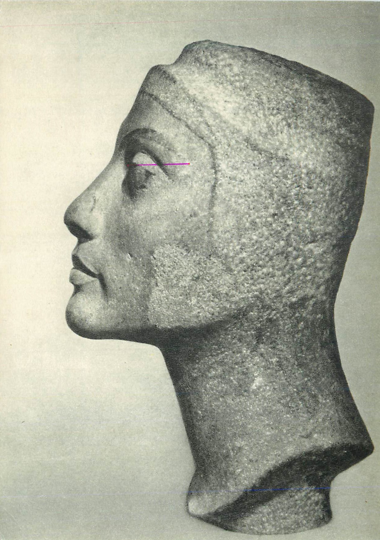 CPM Sculpture Egyptienne Musee du Caire Profil d'une tete inachevee de Neferliti
