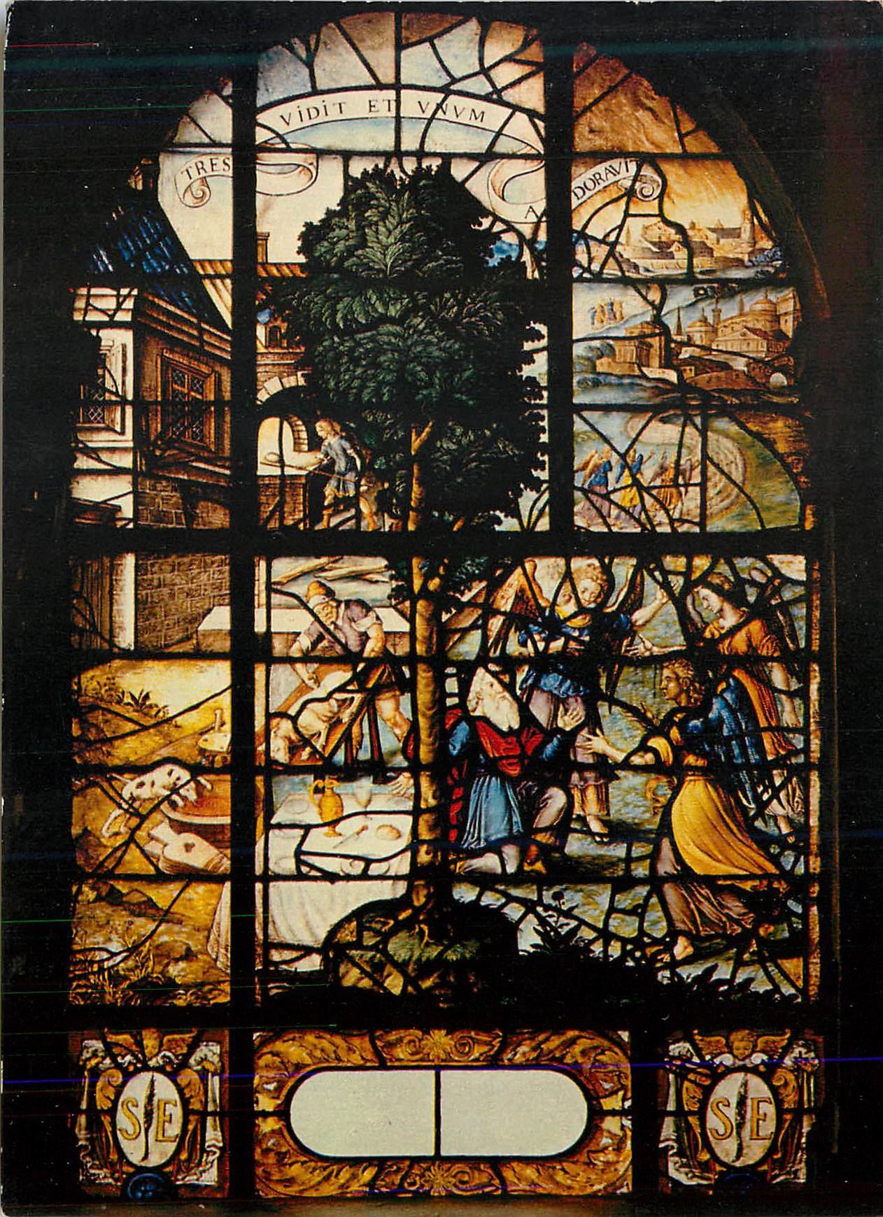 CPM Saint Etienne du Mont 12e Vitrail du Cloitre Le Chene de Mambre (XVIIe S)