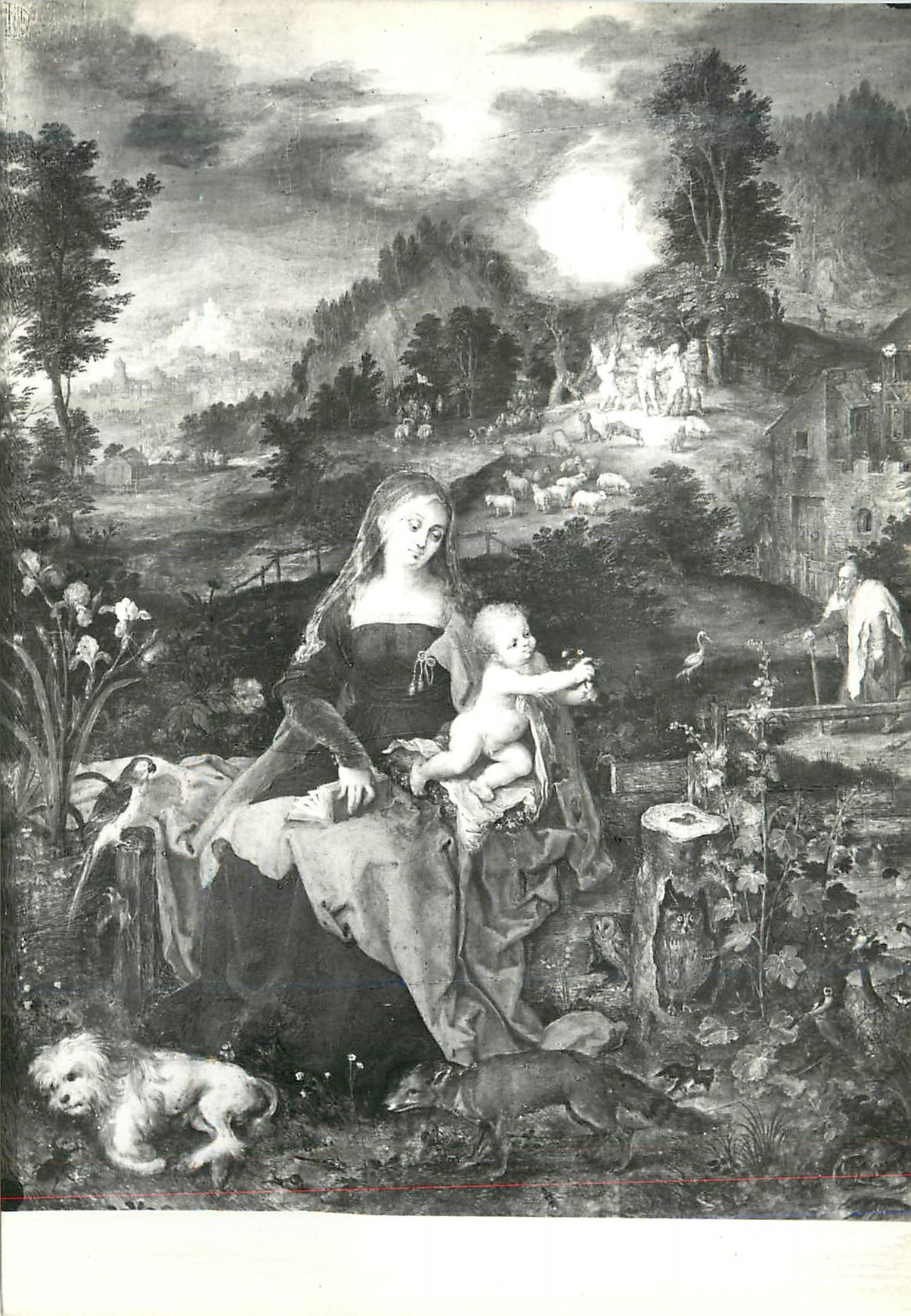 CPM Roma Galleria Doria Pamphili Breughel dei Velluti Sacree Famille