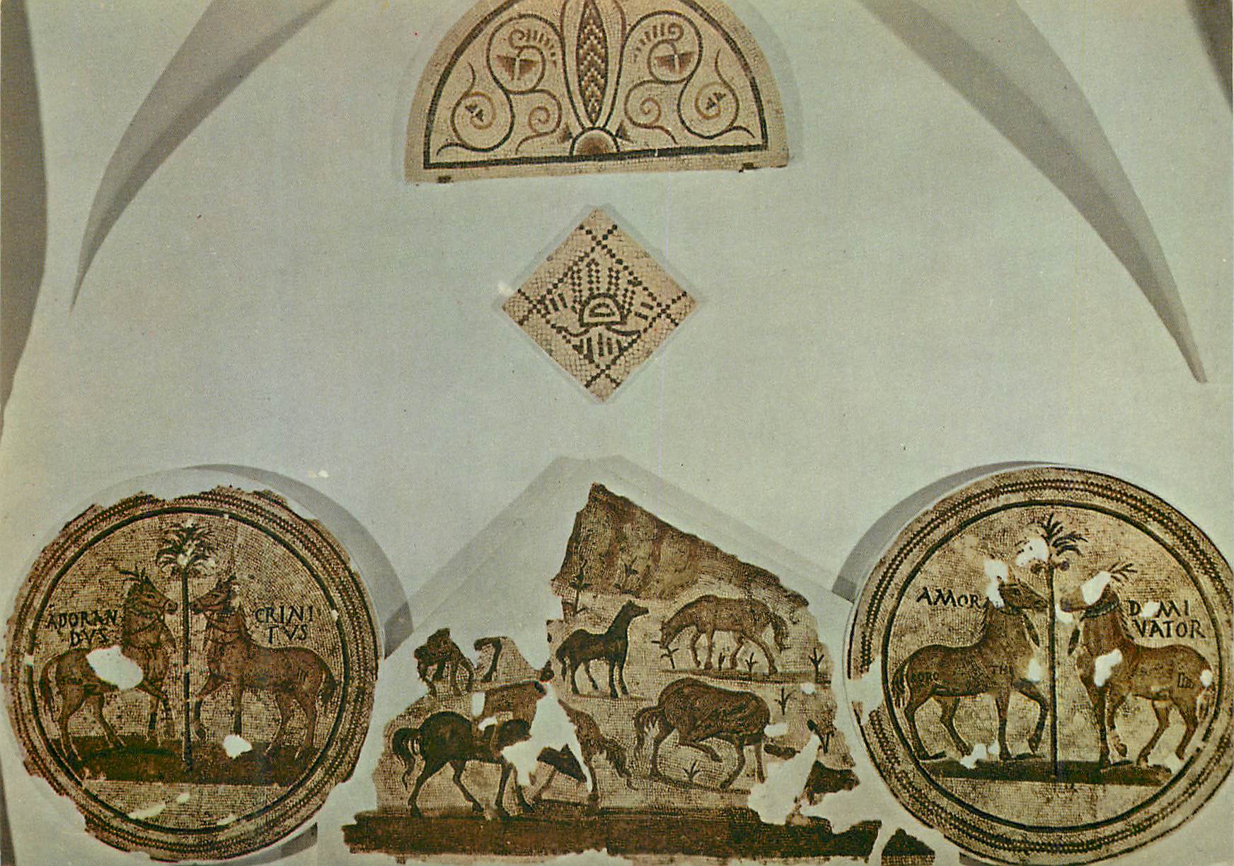 CPM Tunisie de Toujours Les Haras de Sorothus Chevaux Vainqueurs (Musee de Sousse)
