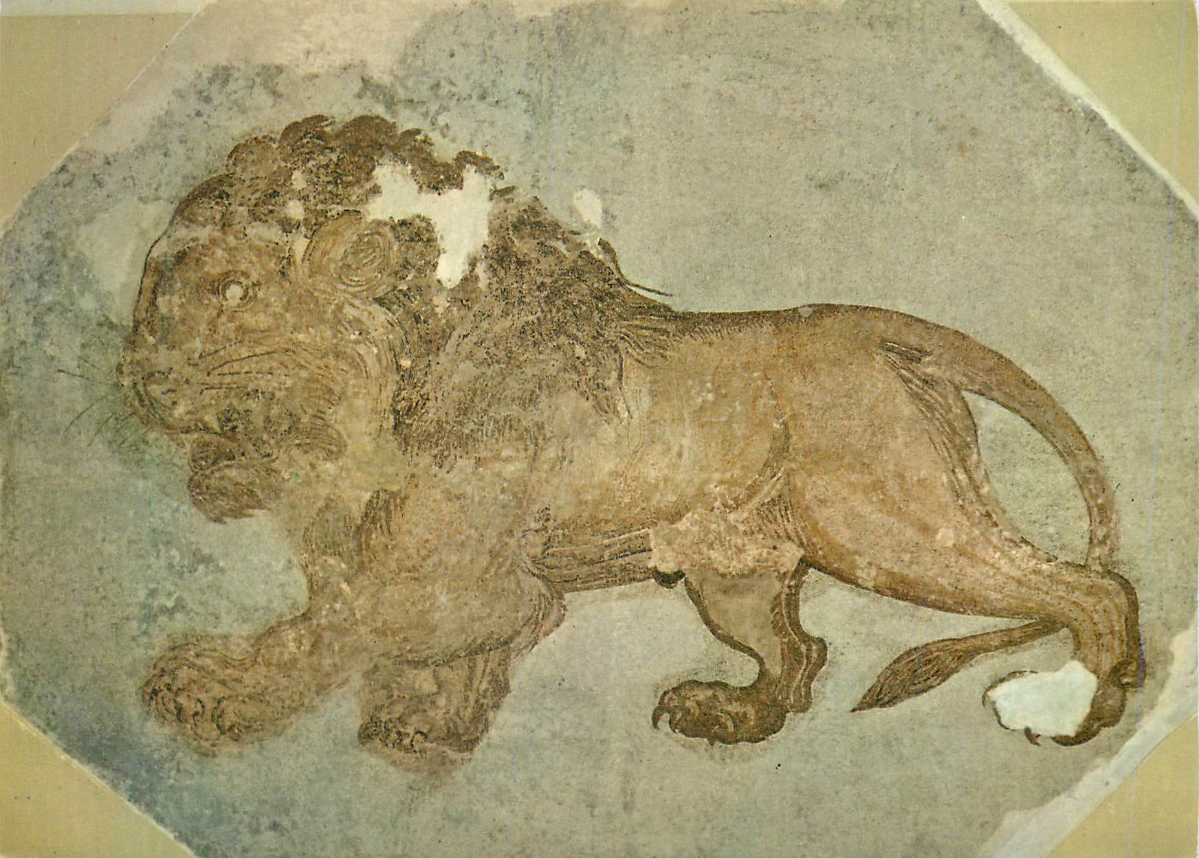 CPM Tunisie de Toujours Lion (Mosaique du Musee de Sousse