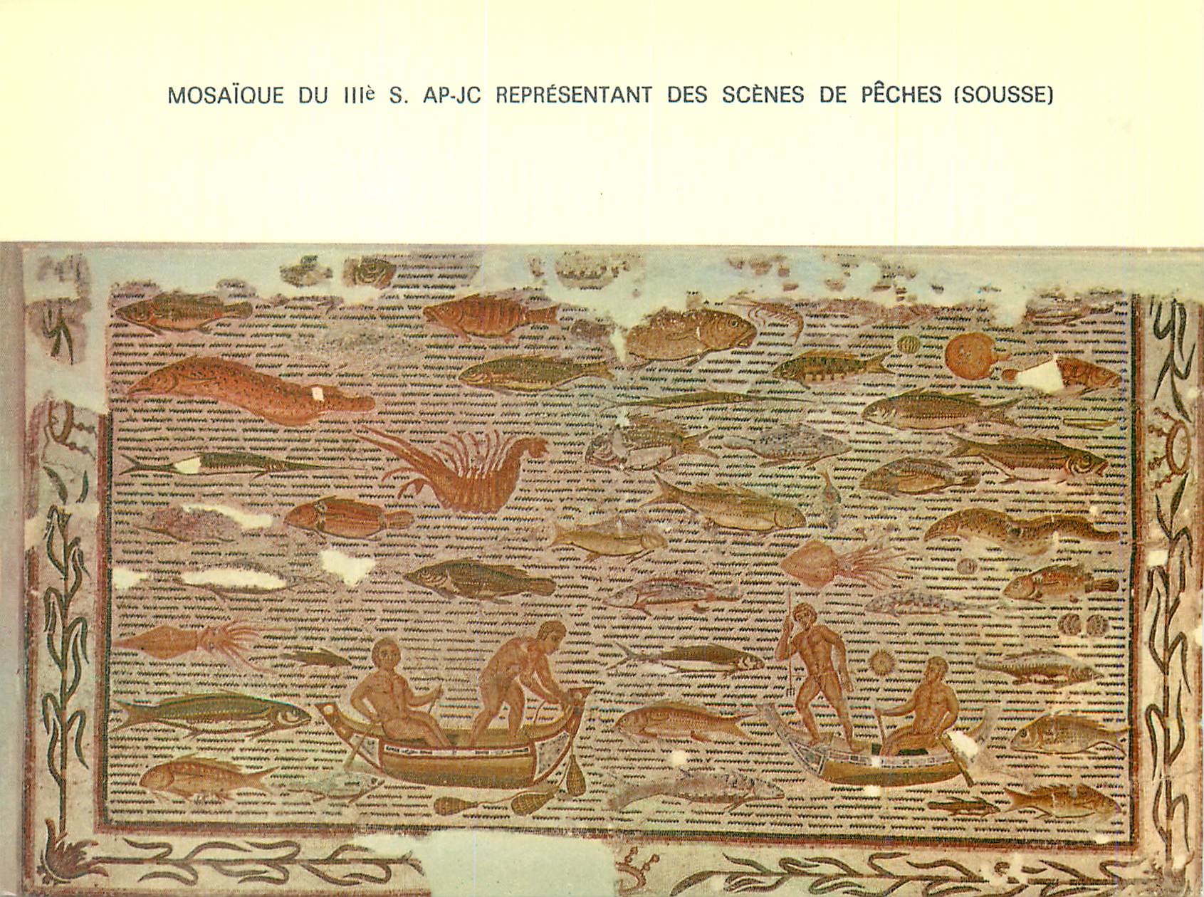 CPM Tunisie de Toujours Scenes de Peches (Musee de Sousse) Mosaique du IIIe S AP JC