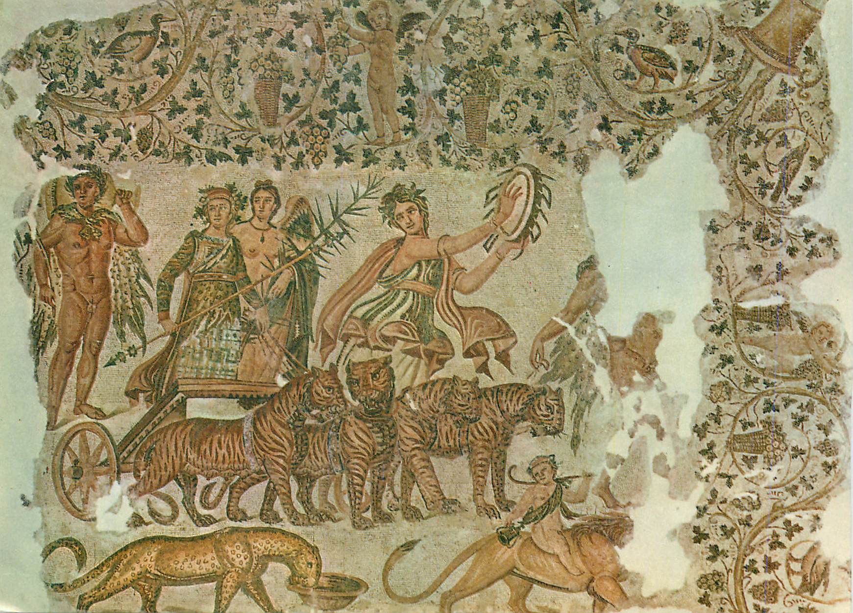 CPM Tunisie de Toujours Le Triomphe de Dionysos (Musee de Sousse)