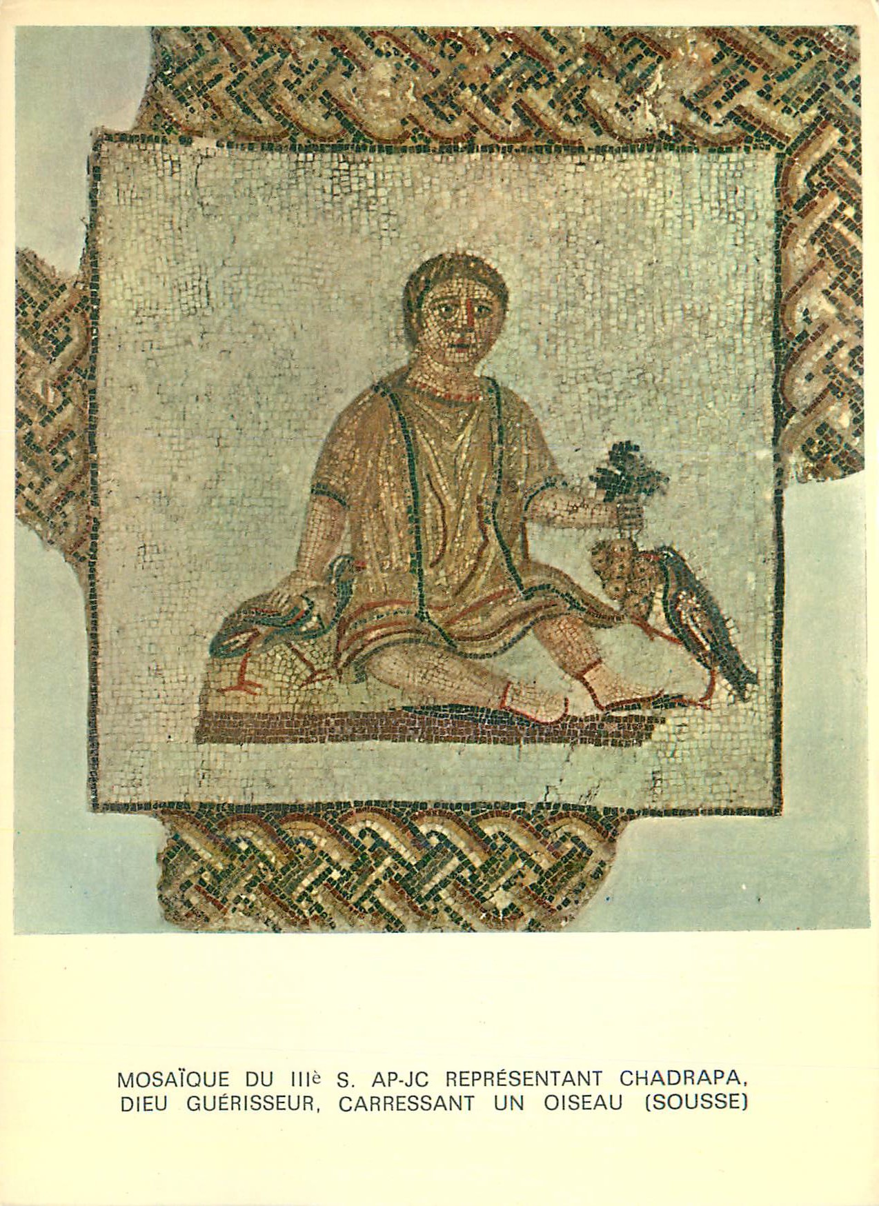 CPM Tunisie de Toujours Chadrapa (Musee de Sousse) Mosaique du IIIe S Ap J C