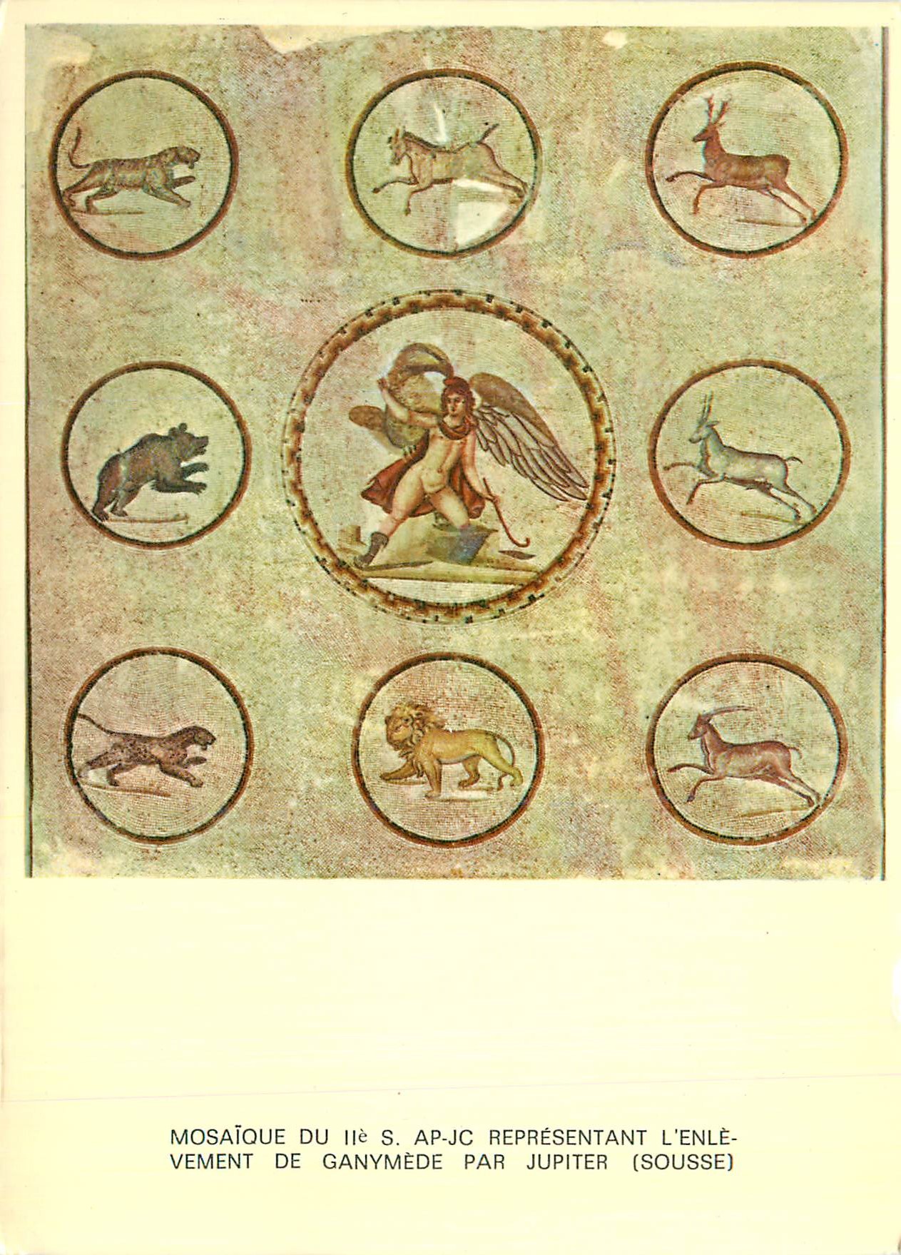 CPM Tunisie de Toujours L'Enlevement de Ganymede (Musee de Sousse) Mosaique du IIe S Ap J C