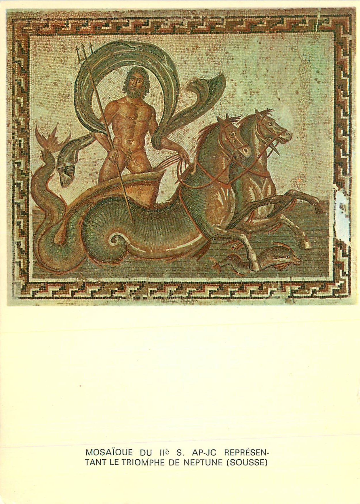 CPM Tunisie de Toujours Le Char de Neptune (Musee de Sousse) Mosaique du IIe S Ap J C