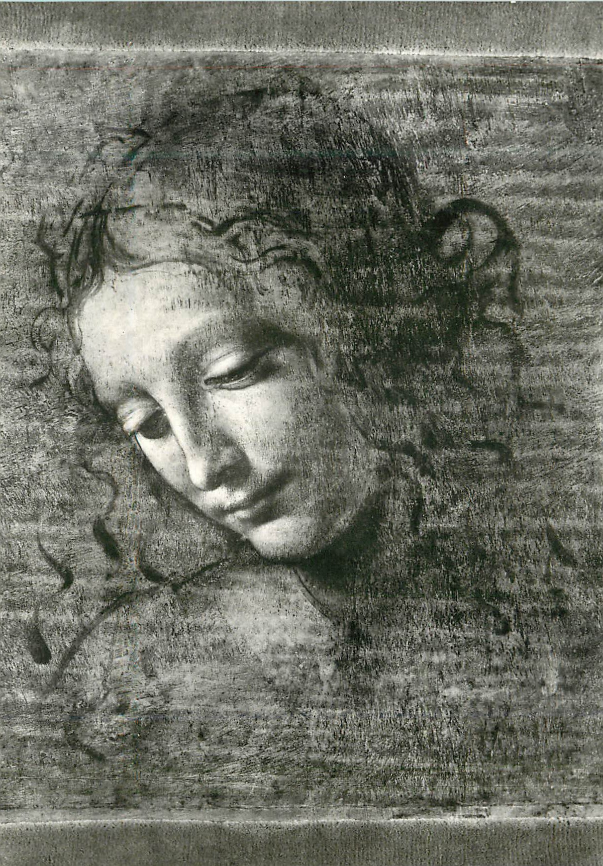 CPM Parma Galleria Nazionale Leonardo da Vinci Tete de Jeune Fille