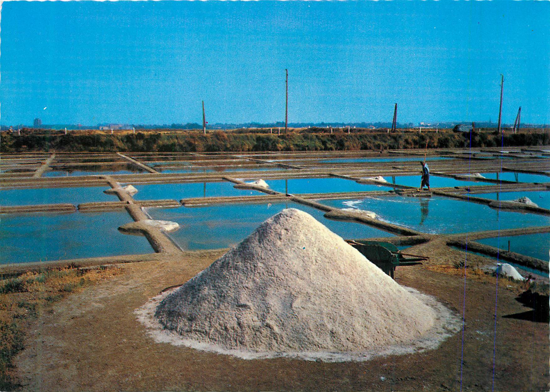 CPM Cote Atlantique les Marais Salants