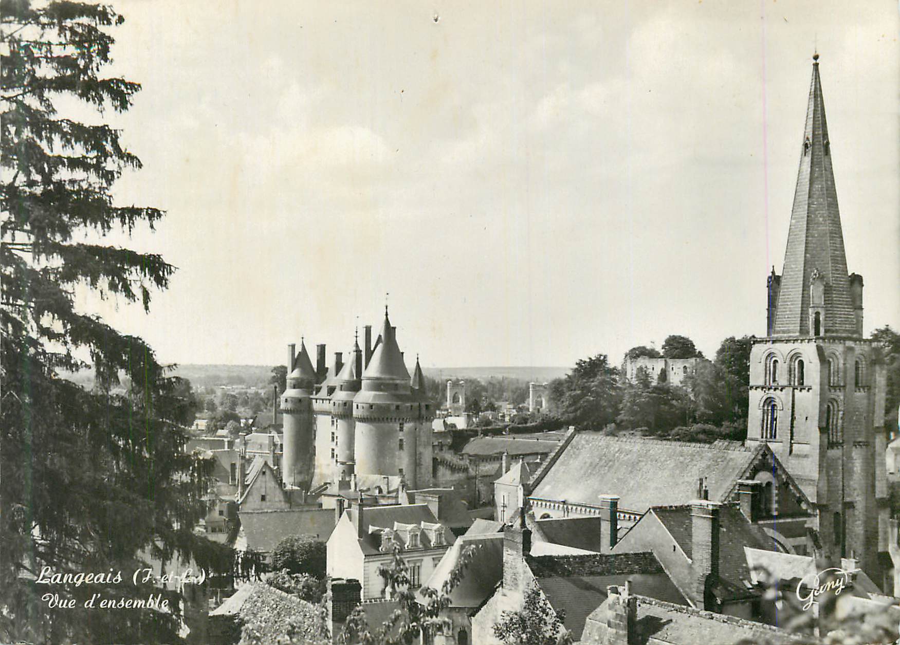 CPM Langeais Vue d'Ensemble