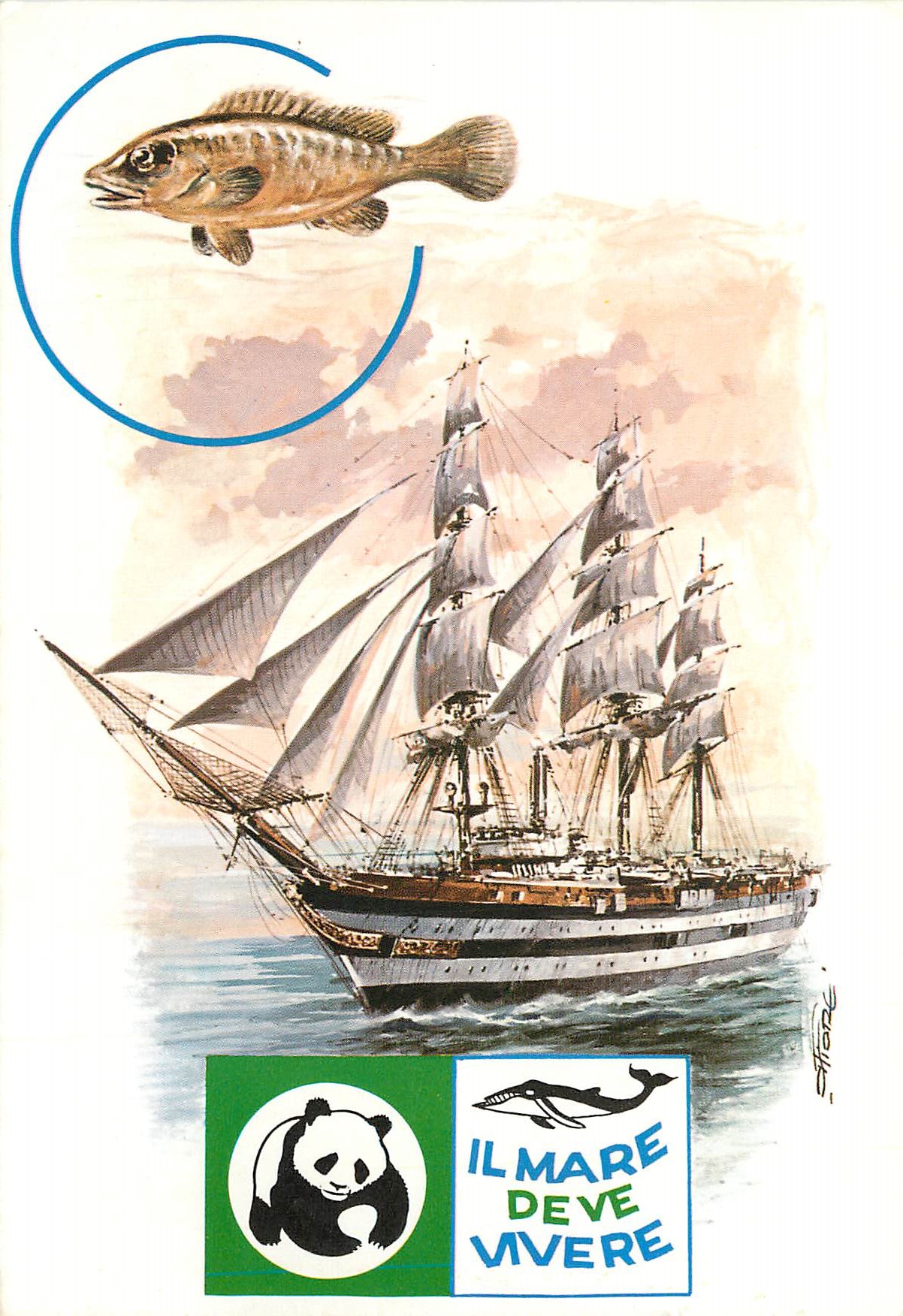 CPM Il Mare Deve Vivere Nave Scuola A Vespucci Bateau Voilier Poisson