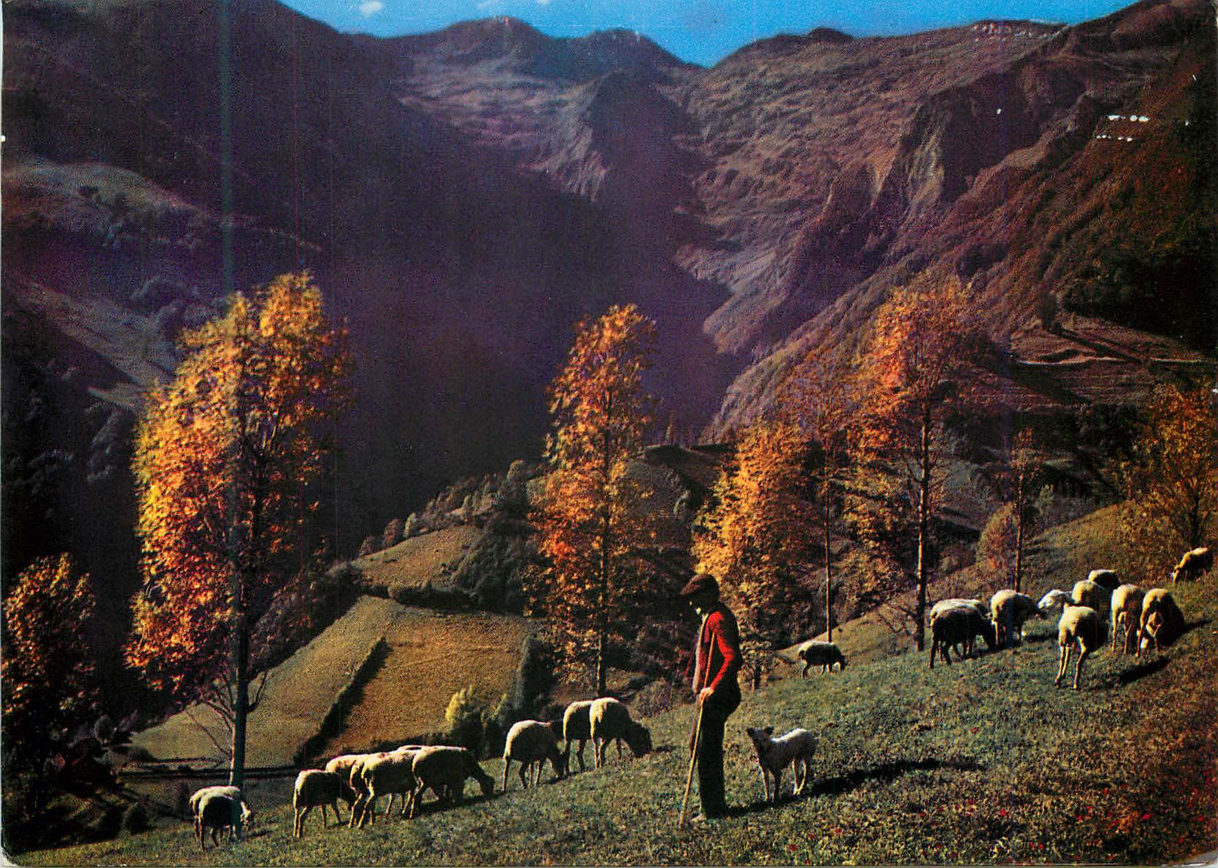 CPM Route du Montvalier Sommets Pyrenees Paturage