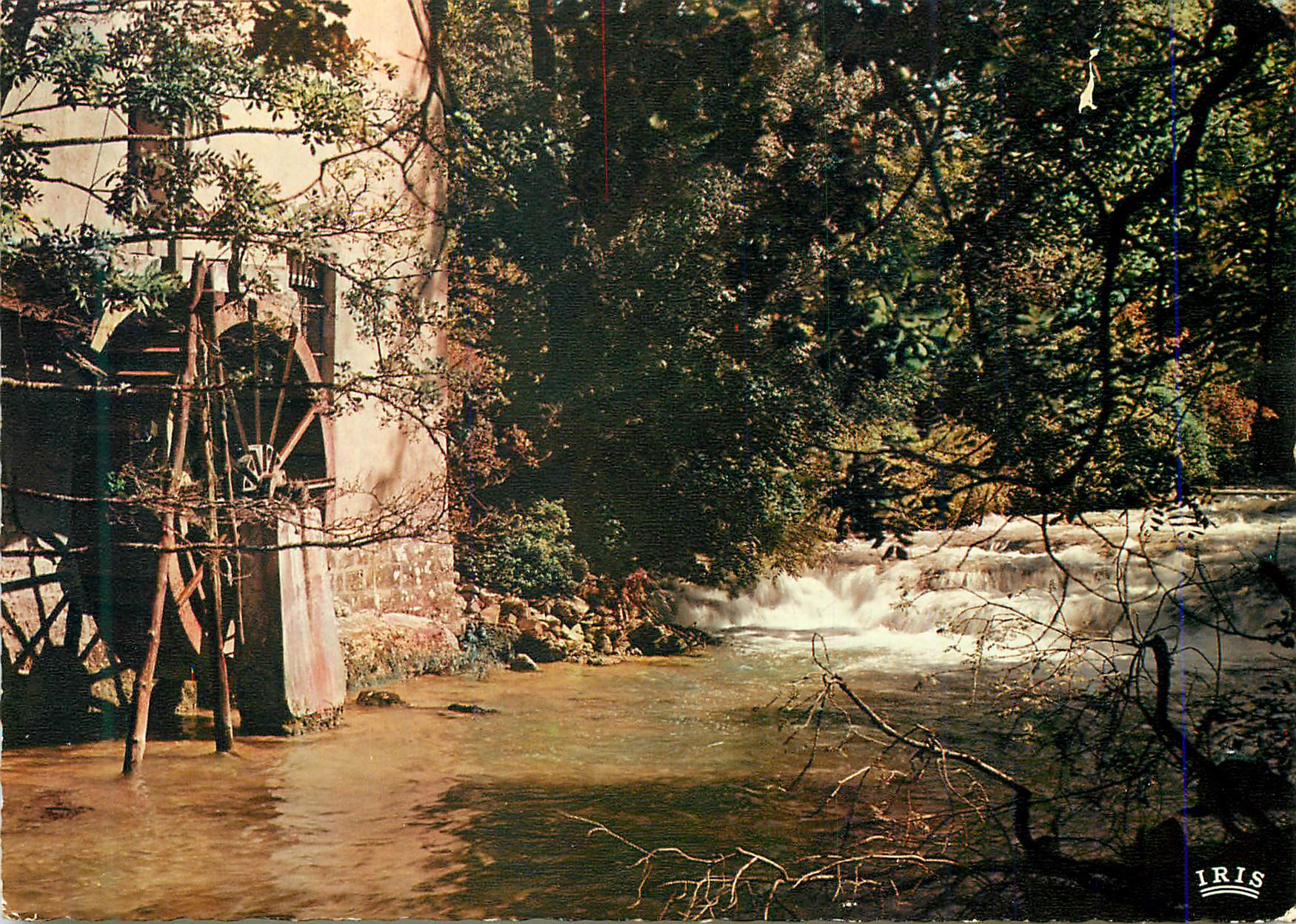 CPM Le Jura Pittoresque Vieux Moulin au bord de la Riviere