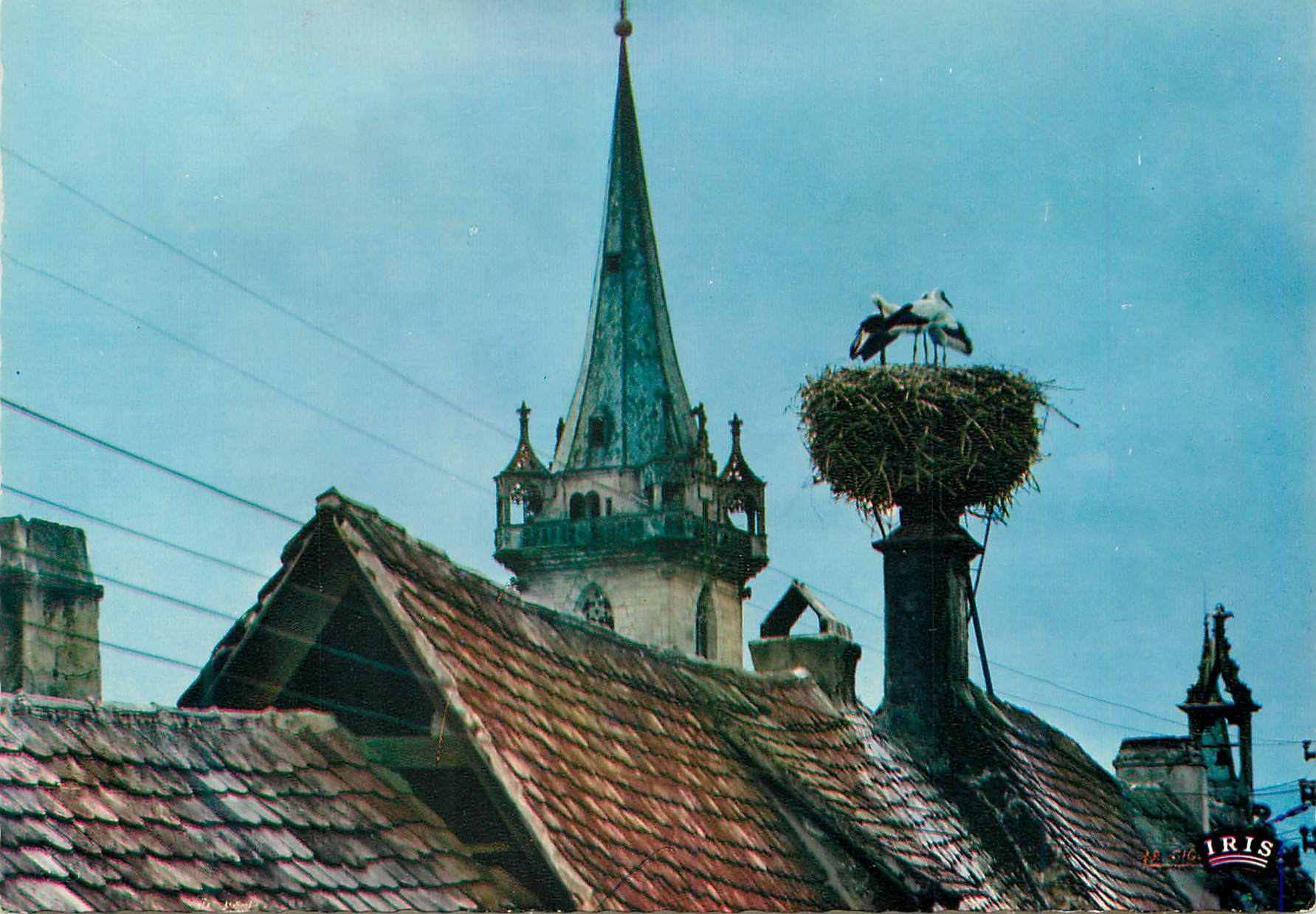 Nid d'hirondelles sur toit — église avec clocher à flèche — éditeur IRIS