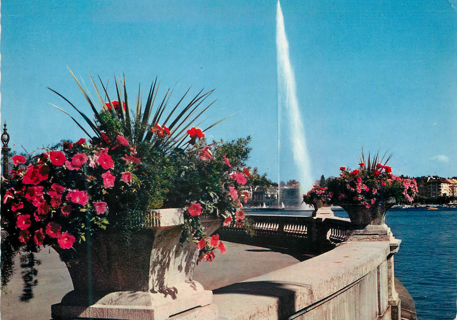 CPM Geneve Le Jet d'Eau (130 m)