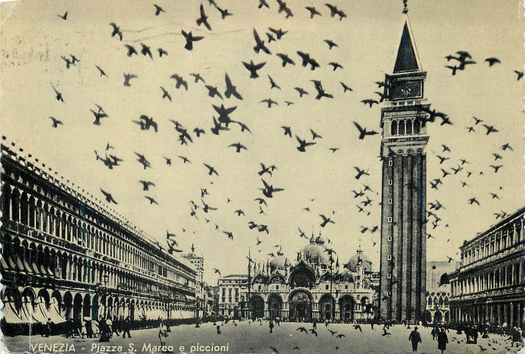 CPM Venezia Piazza S Marco e Piccioni
