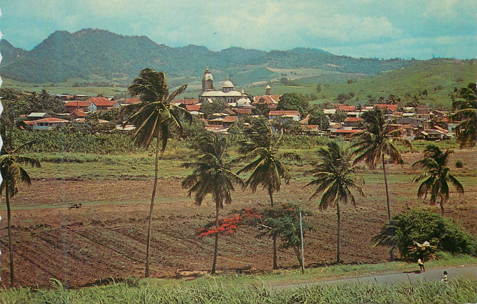 CPM Ile de la Martinique Francois Vue Generale 