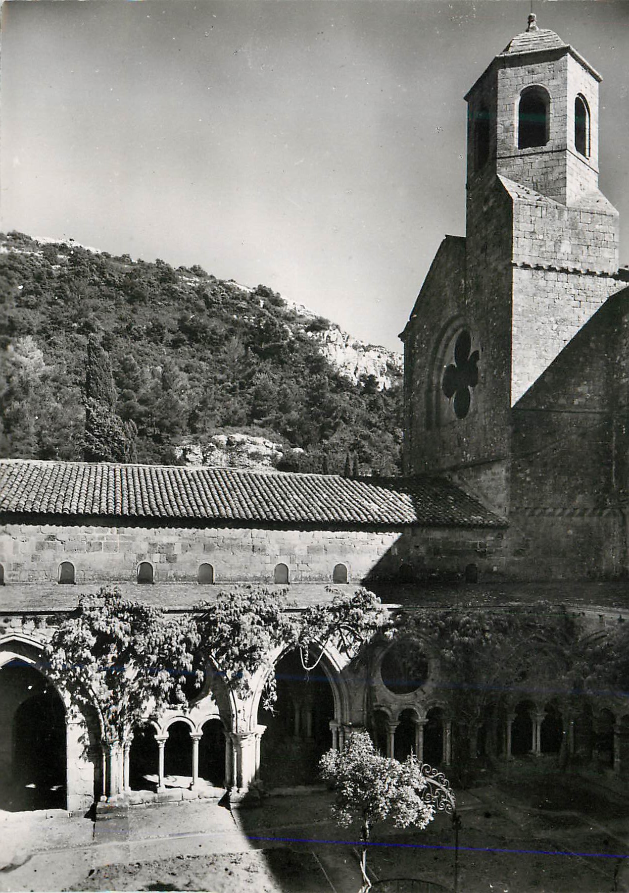 CPM Abbaye de Fontfroide (Bizanet par Narbonne Aude) Le Cloitre et le Clocher de l'Eglise