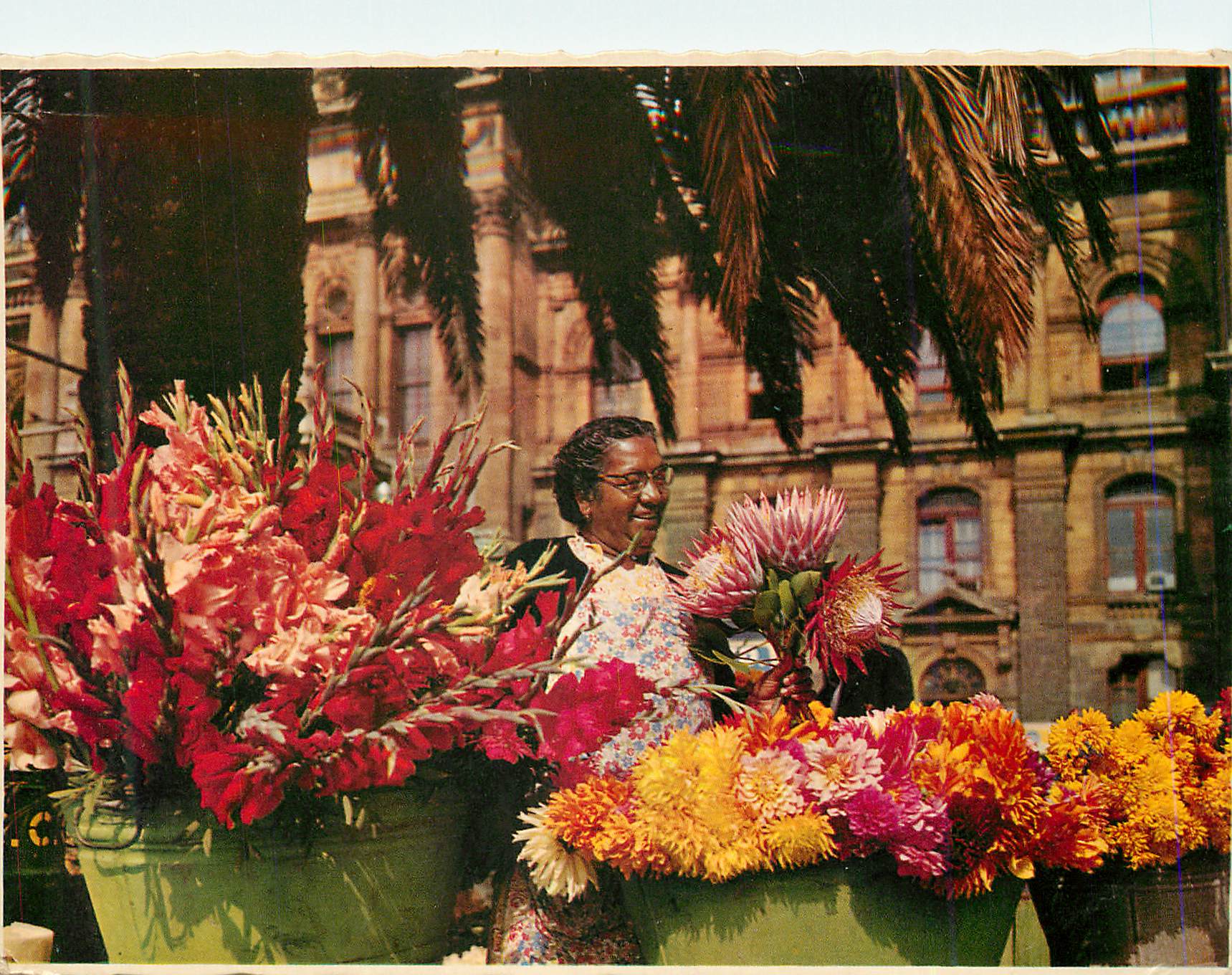 CPM Cape Town South Africa Bargain in Colour A Flower Seller on the Grand Parade
