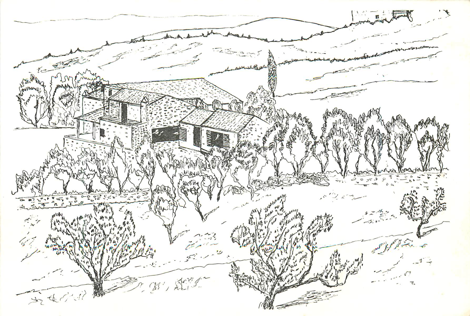 CPM La Spedda Monternano