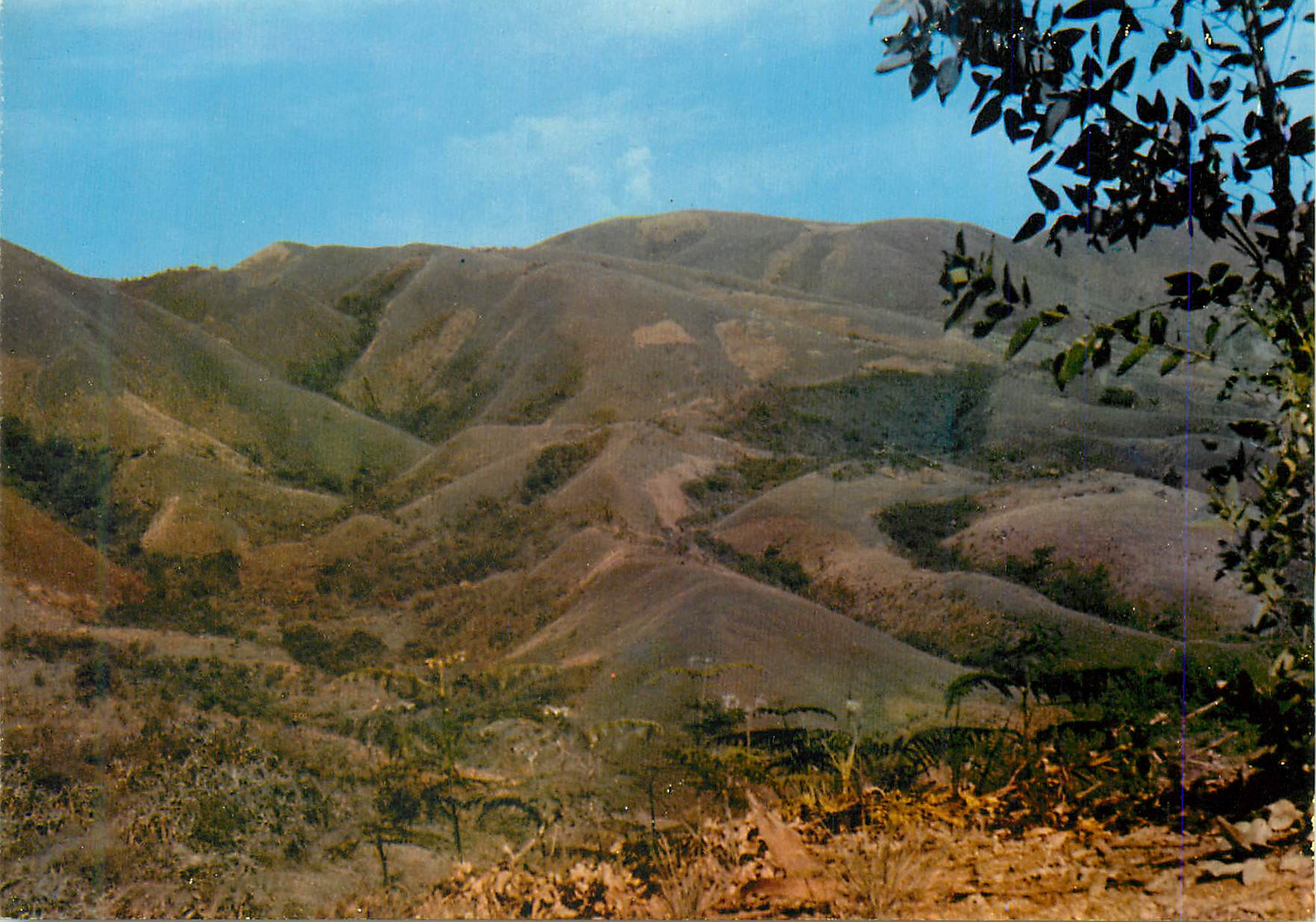 CPM Couleur du Burundi Paysages des Monts de la Lune