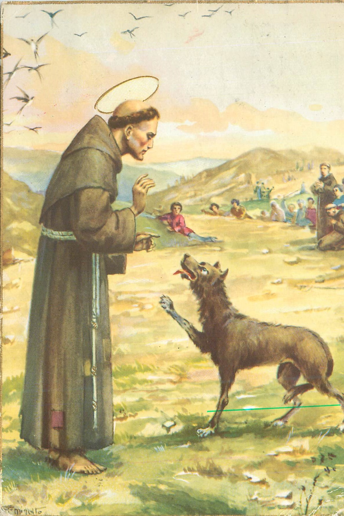CPM Assisi Casa Editrice Francescana Frati Minori Loup